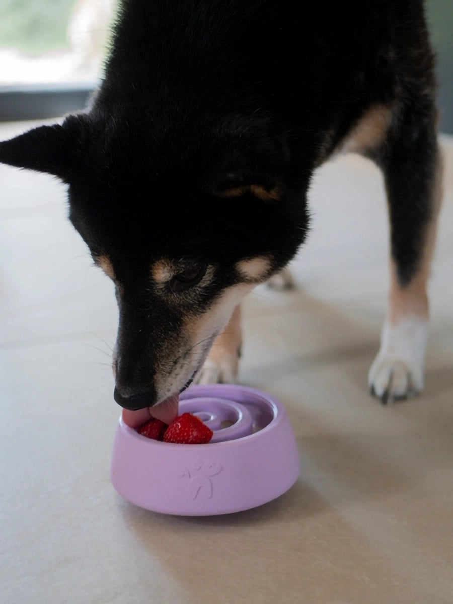 Inooko Yoomy Wobble Beschäftigungsspielzeug Lavendel Beschäftigung für Hunde