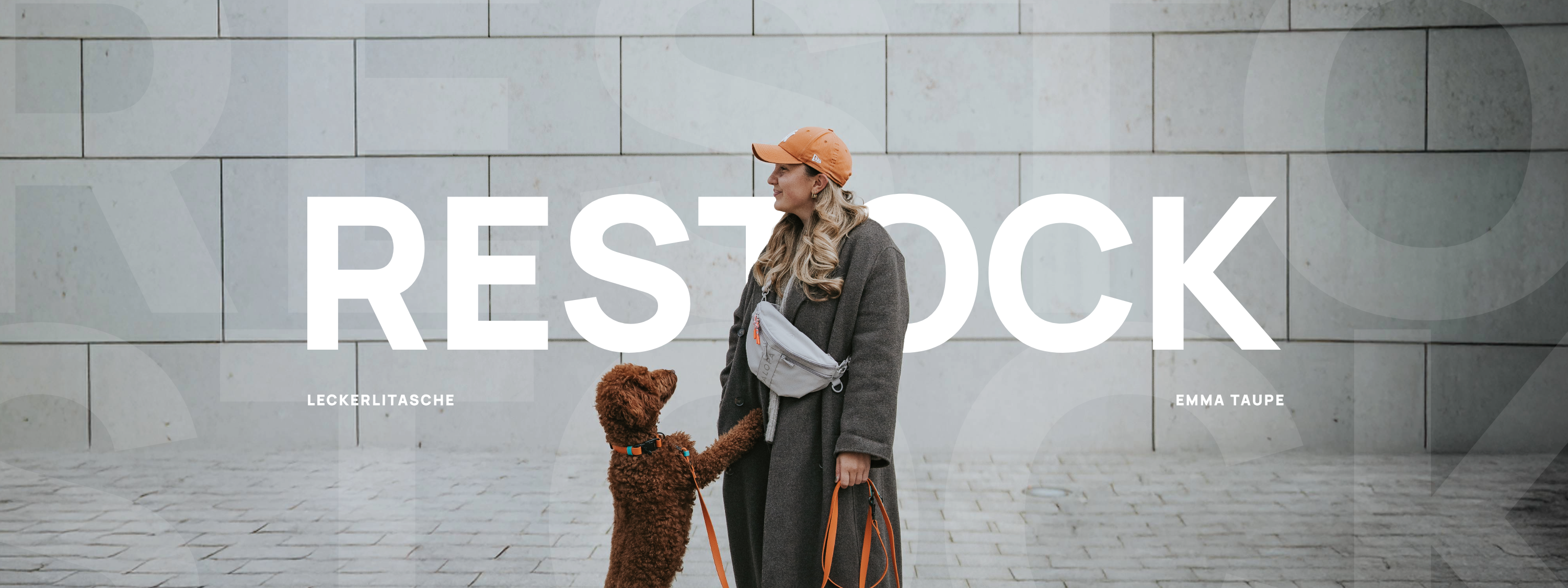 LEVEY PALOPA Emma Gassitasche Leckerlibeutel Taupe Hunde Leckerlitasche