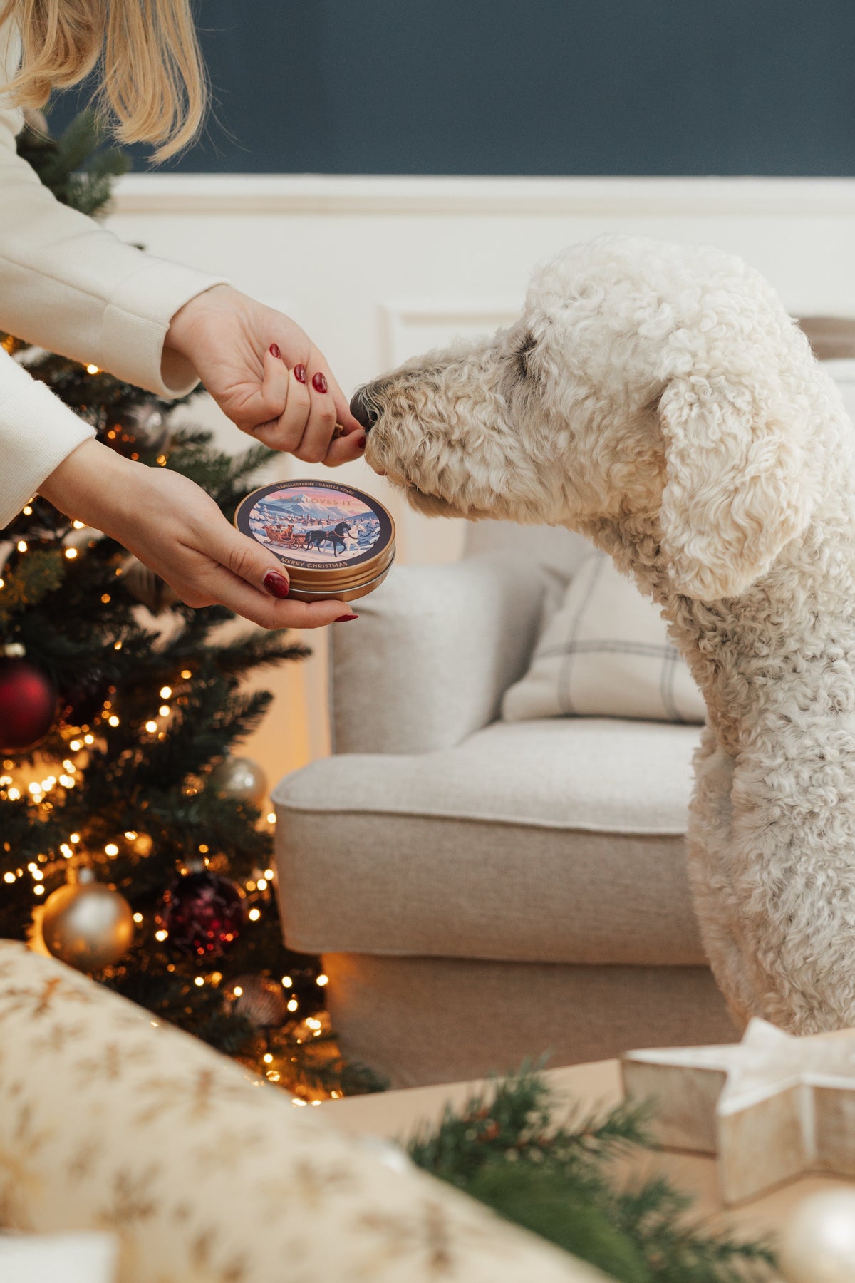 LILA LOVES IT Weihnachts-Goodies Hundeleckerlis
