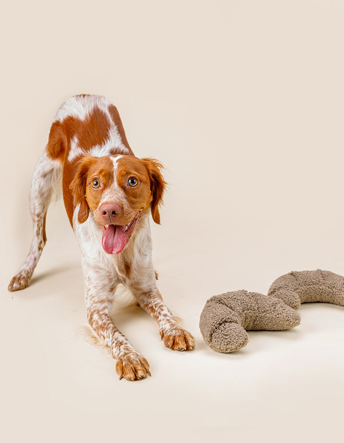 Lillabel Croissant Beschäftigungsspielzeug für Hunde