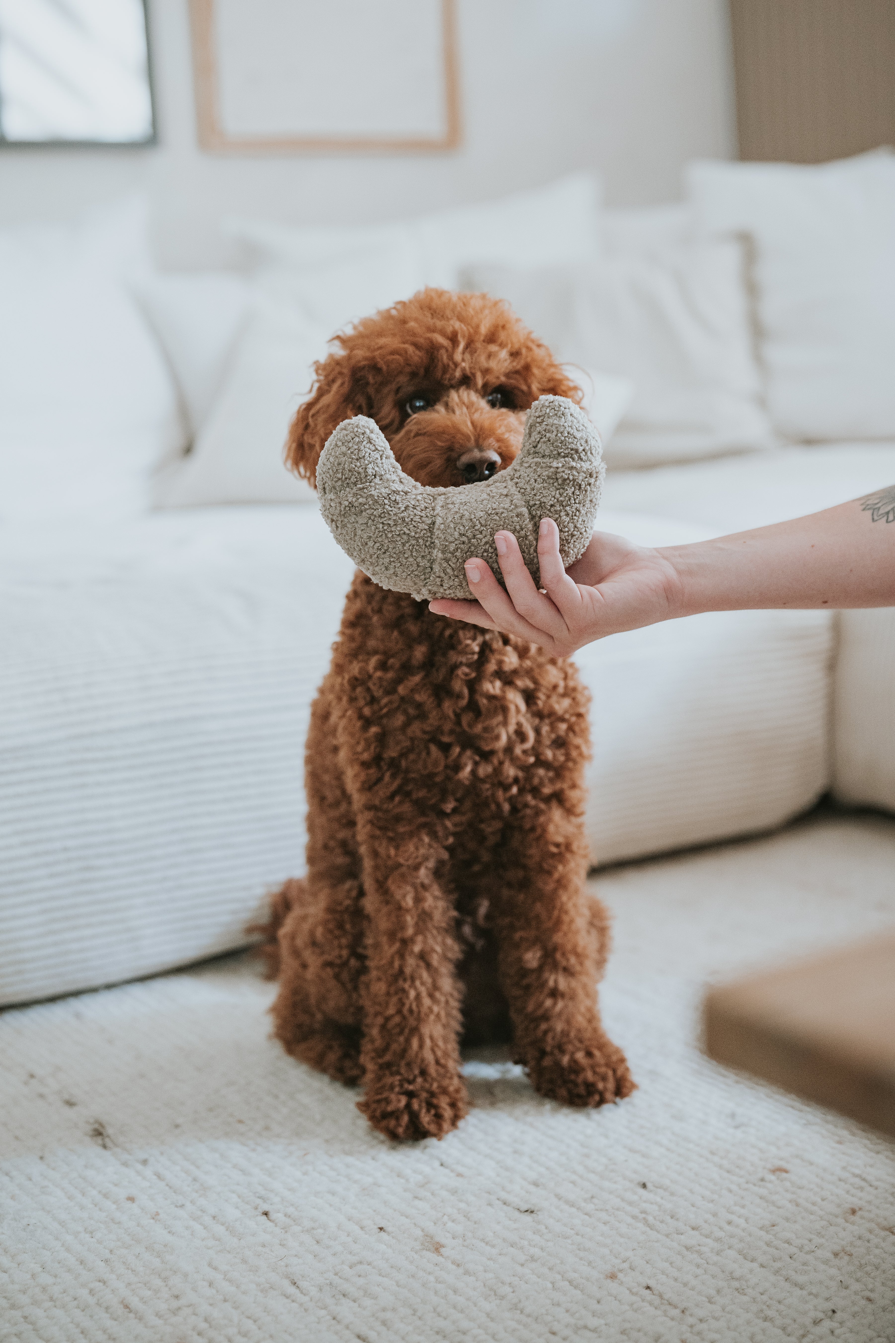 Lillabel Croissant Schnüffelspielzeug Beschäftigung Hund Spielen