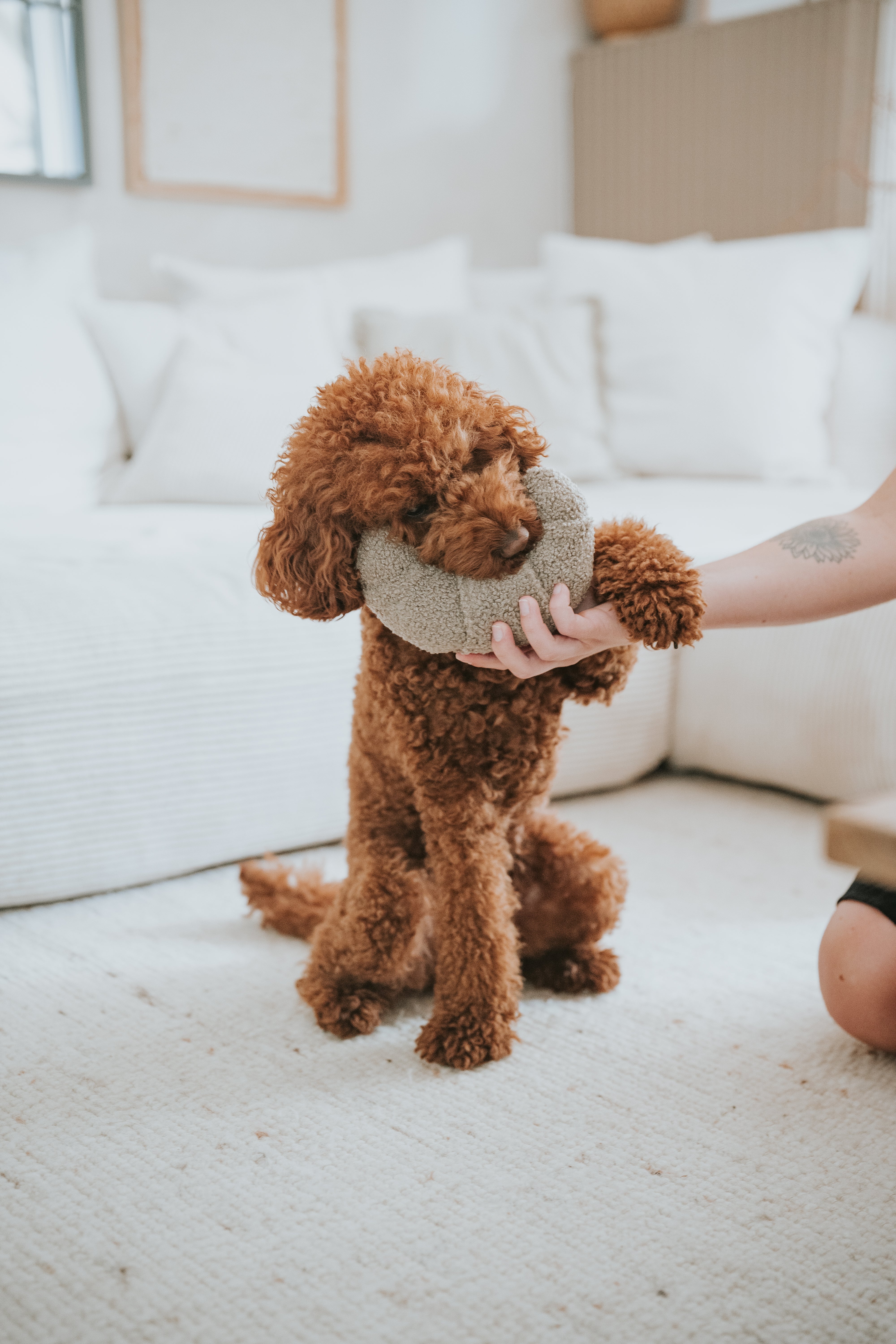 Lillabel Croissant Schnüffelspielzeug Hundespielzeug Schnüffeln