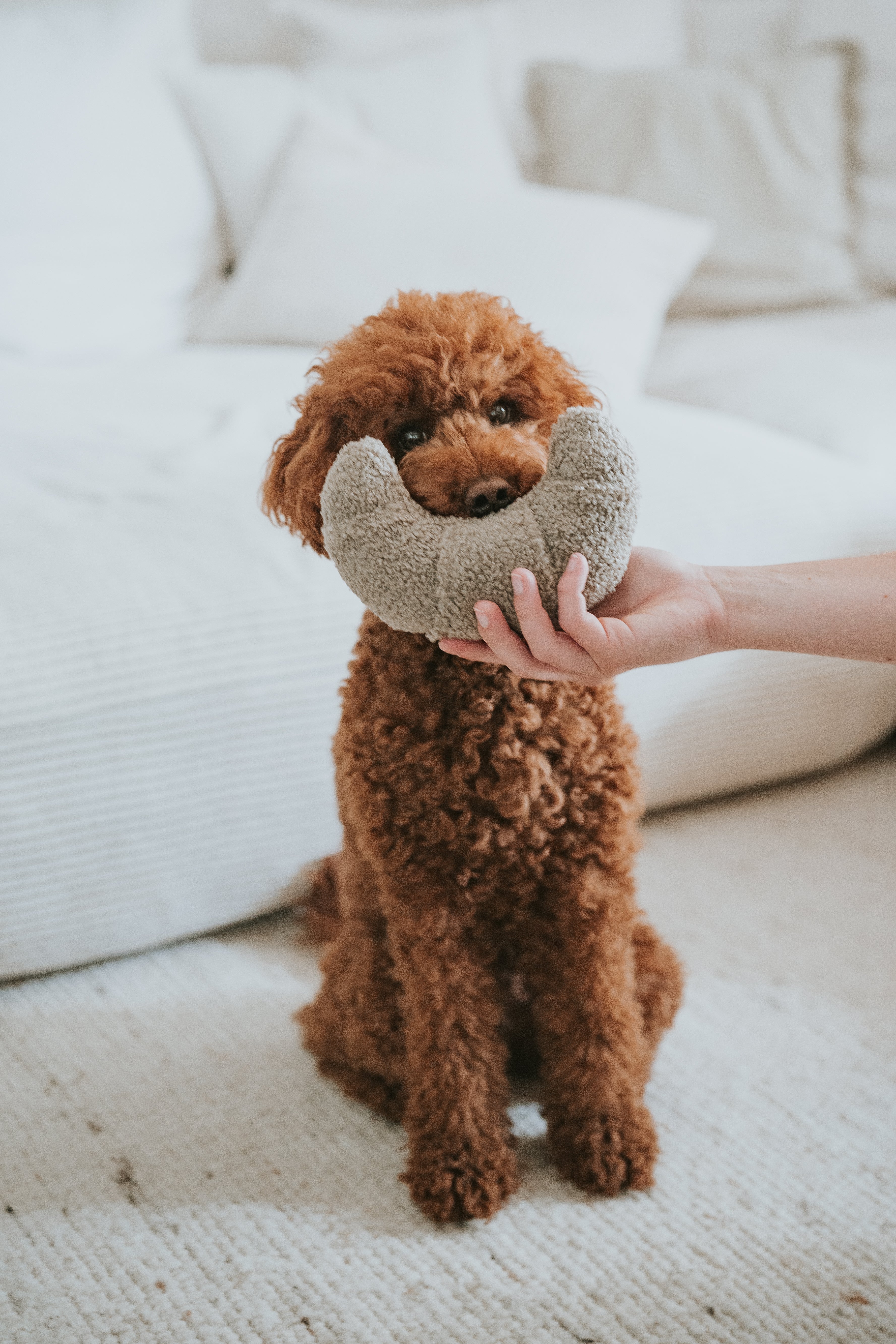 Lillabel Croissant Schnüffelspielzeug Hundespielzeug alleine bleiben