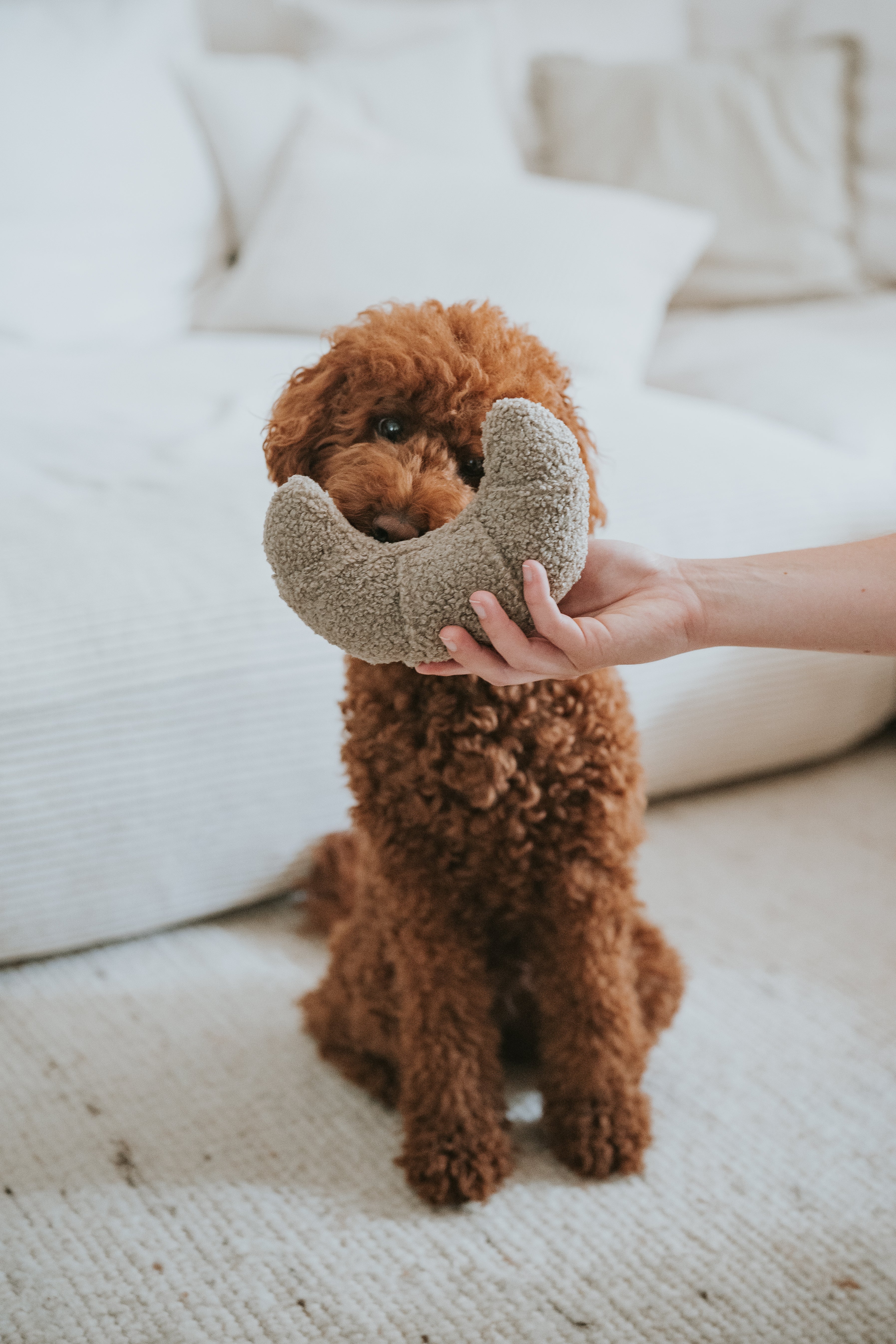 Lillabel Croissant Schnüffelspielzeug Spielzeug Hund alleine bleiben