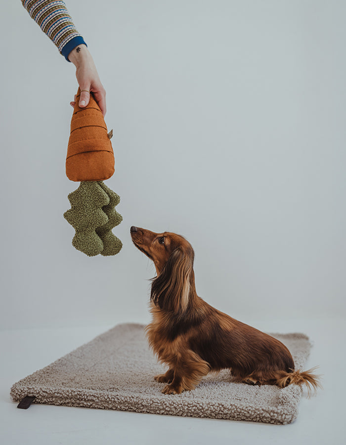 Lillabel Karotte Schnüffelspielzeug Hundespielzeug für kleine Hunde