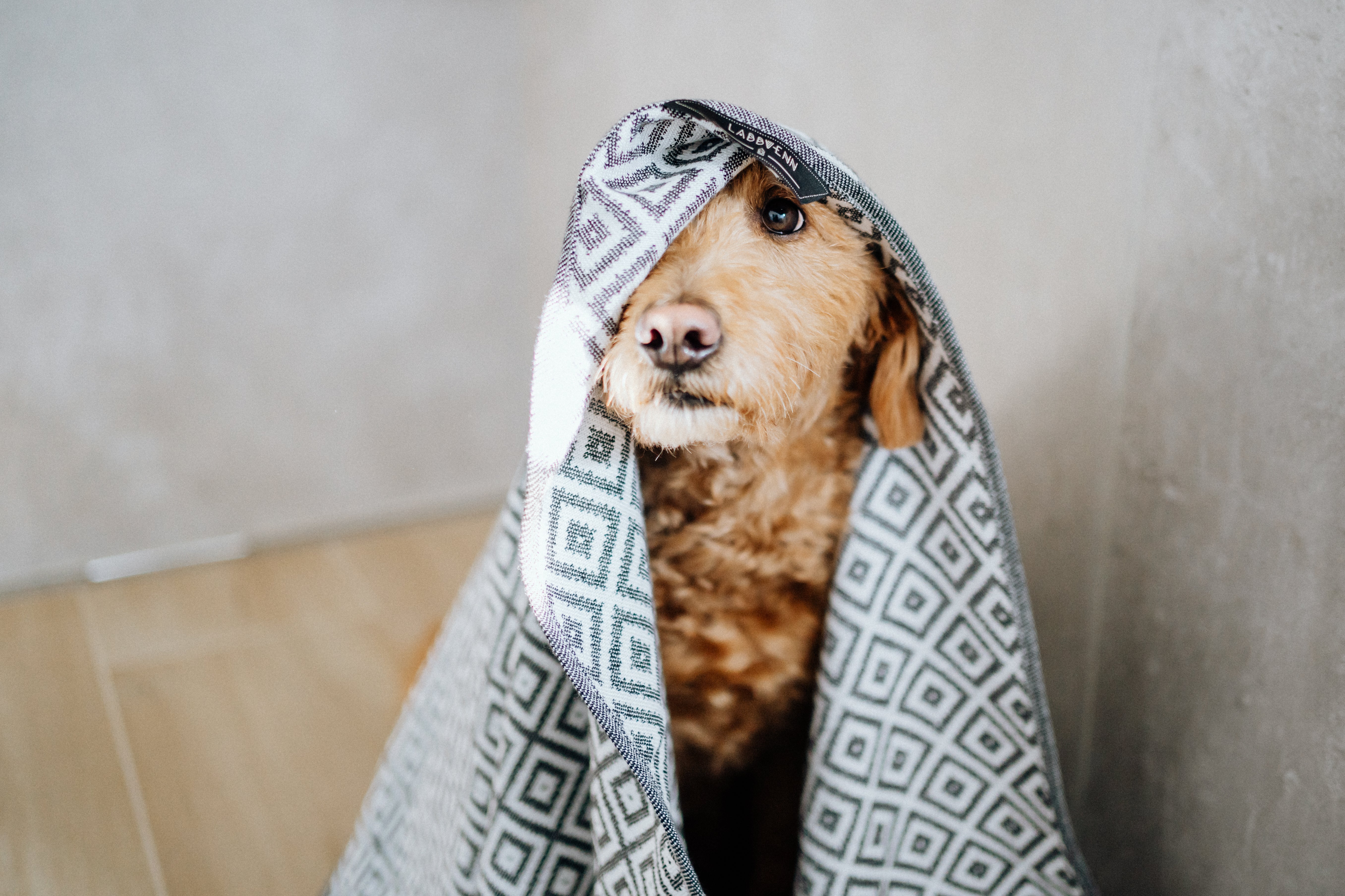 Labbvenn Linaa Hundehandtuch Handtuch zum Trocknen