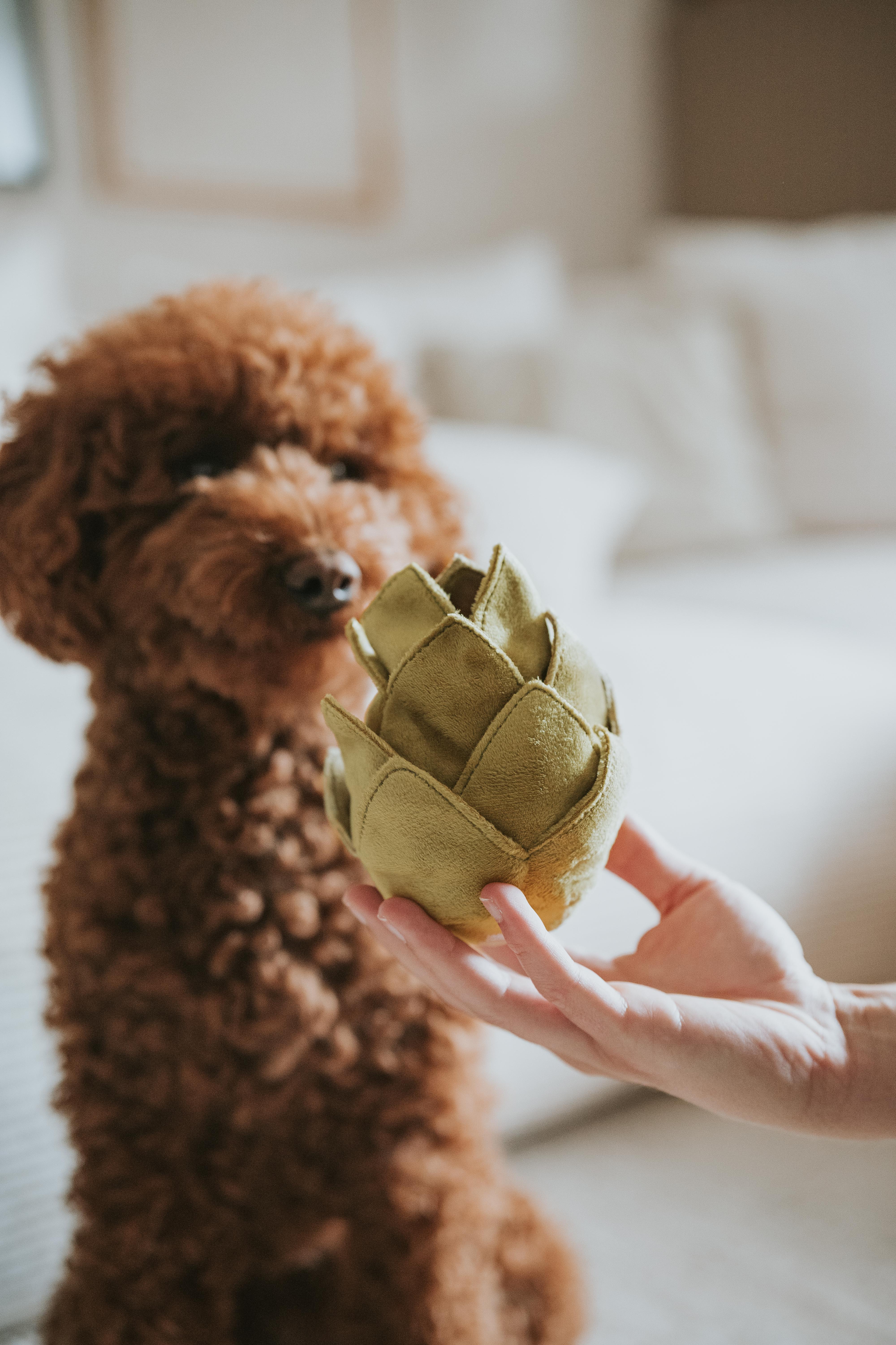 Lambwolf ARTICHOKE Schnüffelartischocke Hundespielzeug Schnüffelspielzeug Beschäftigung für Hunde