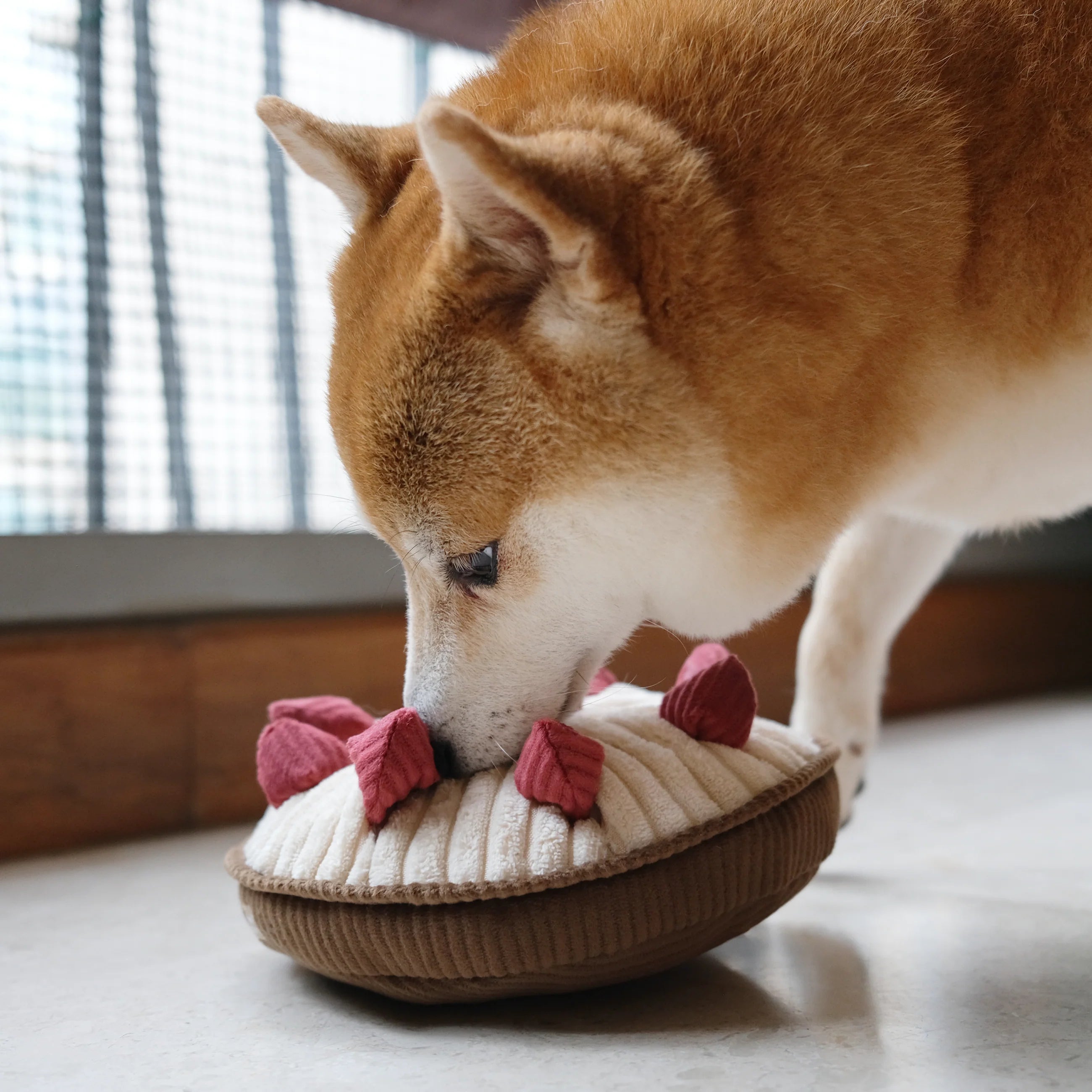 Lambwolf BERRY PIE Schnüffelkuchen Schnüffelspielzeug