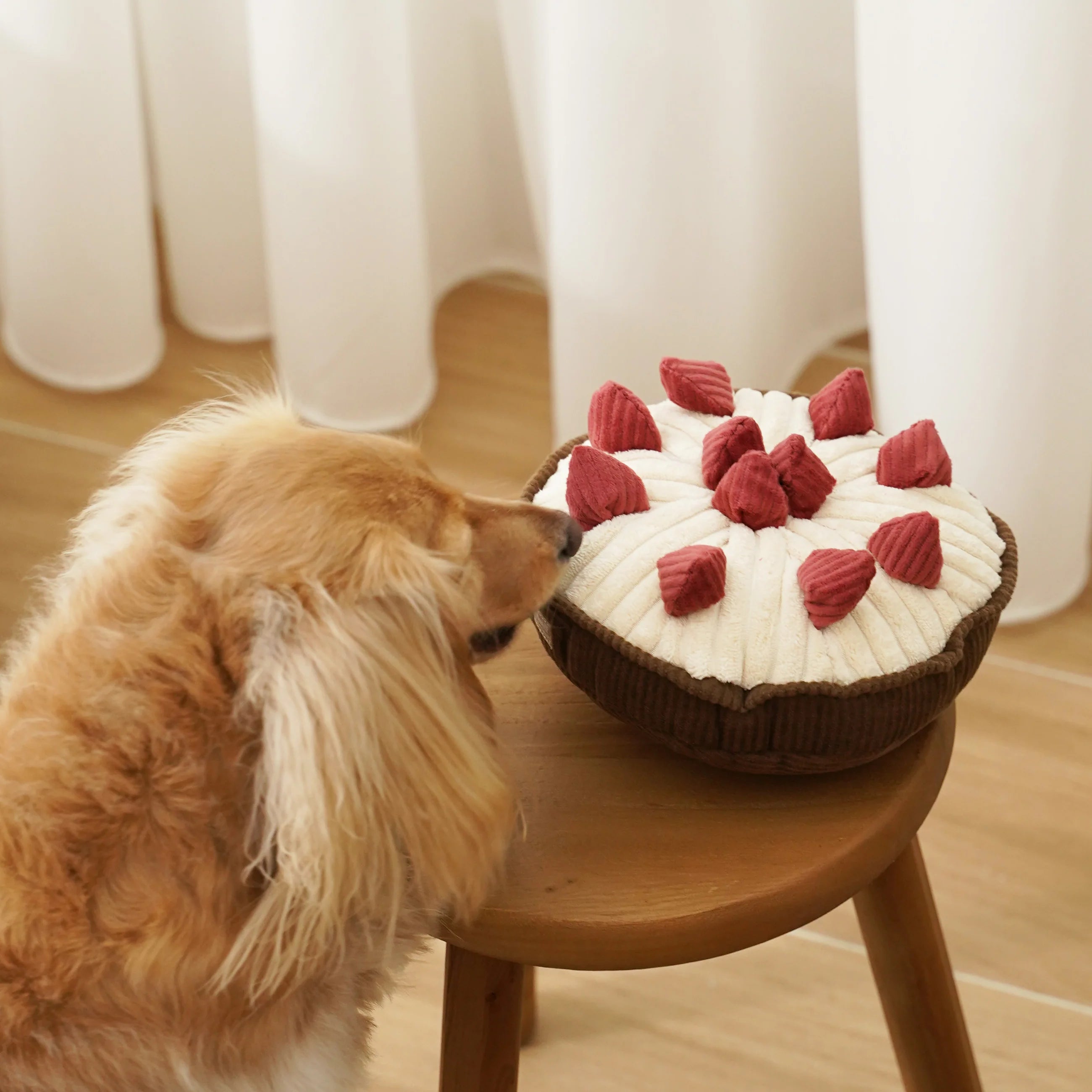 Lambwolf BERRY PIE Schnüffelkuchen Welpenspielzeug