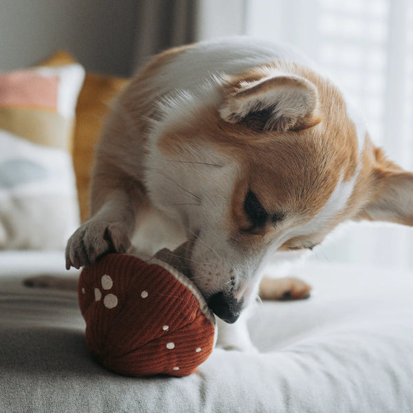 Lambwolf Shroom flauschiges Hundespielzeug