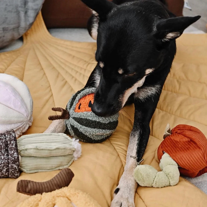 Lambwolf Watermelon Suesses Spielzeug fuer Hund 