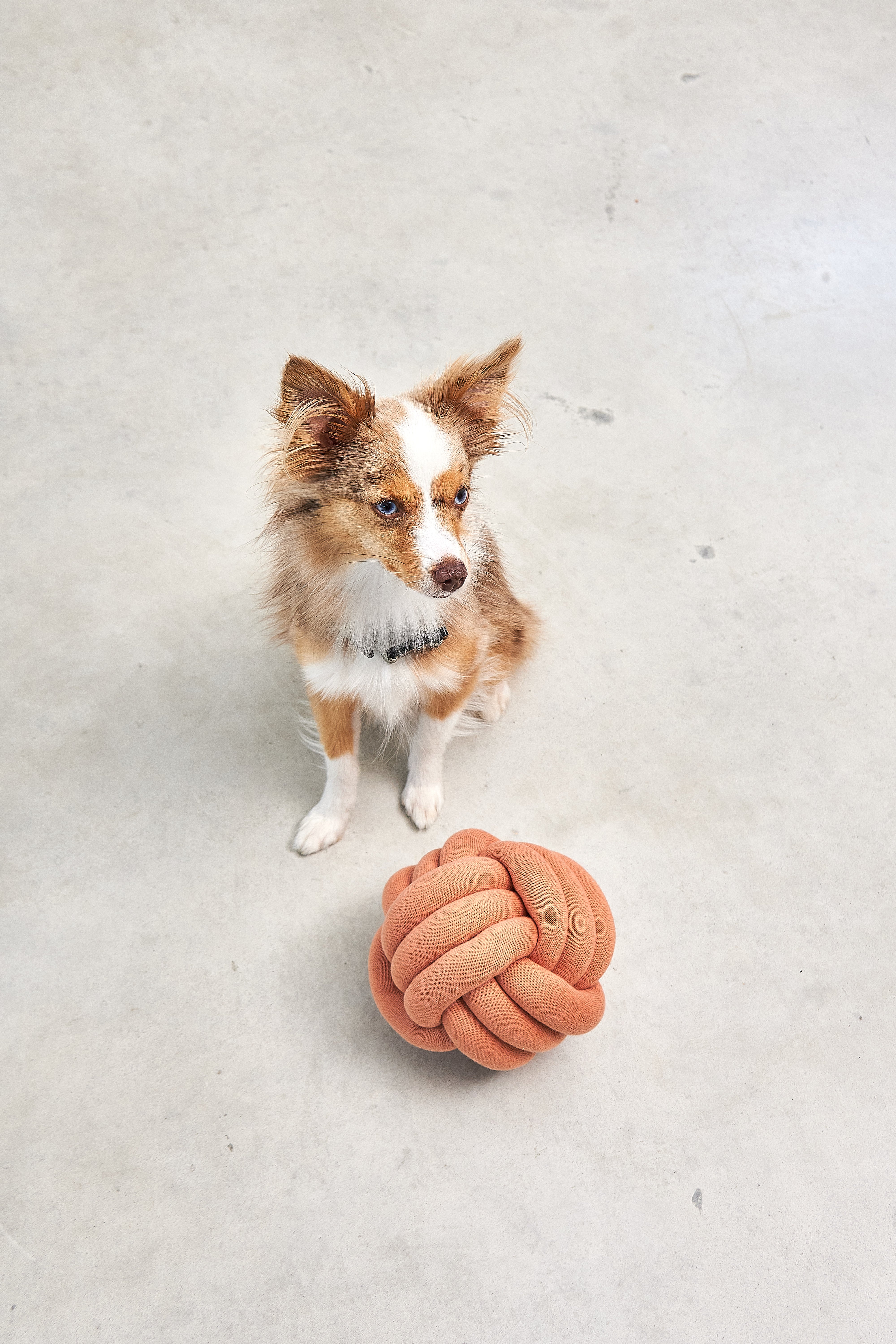 MiaCara Tubo Beschäftigungsspielzeug Dusty Orange Schnüffelspielzeug Hunde