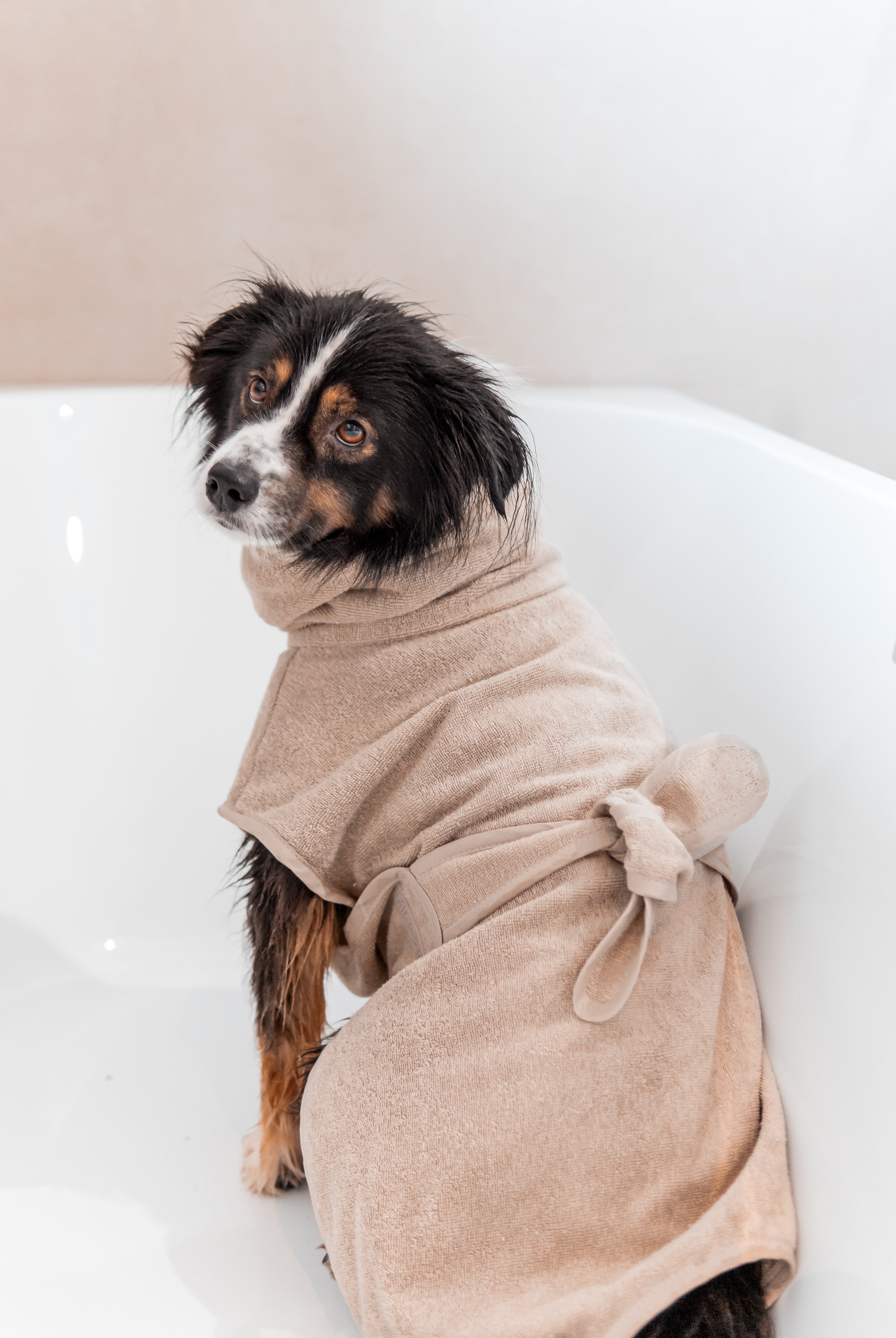 MiaCara Bagno Hundebademantel Greige Bademantel für Hunde Fellpflege