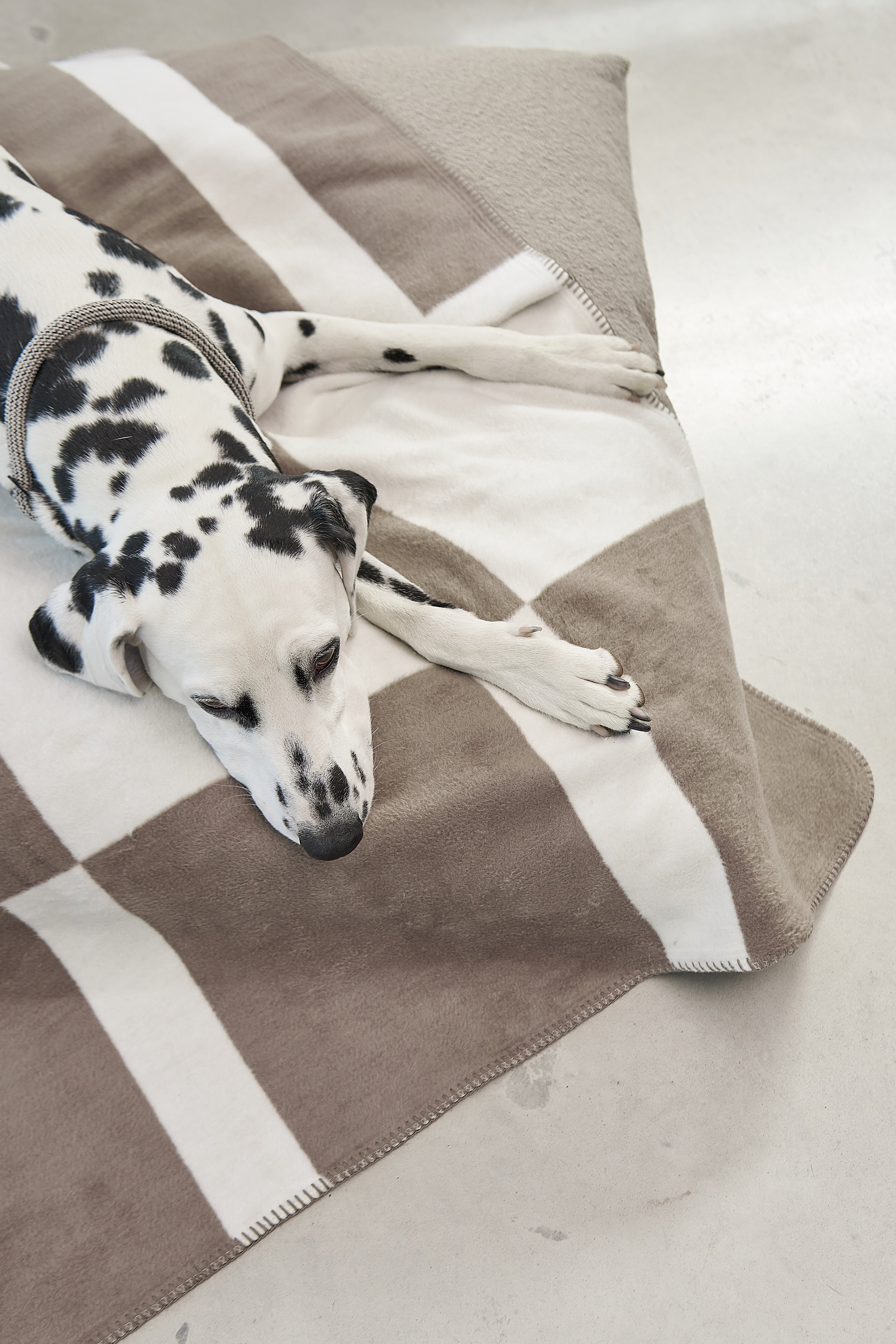MiaCara Blocco Hundedecke Taupe Decke für Hunde waschbar