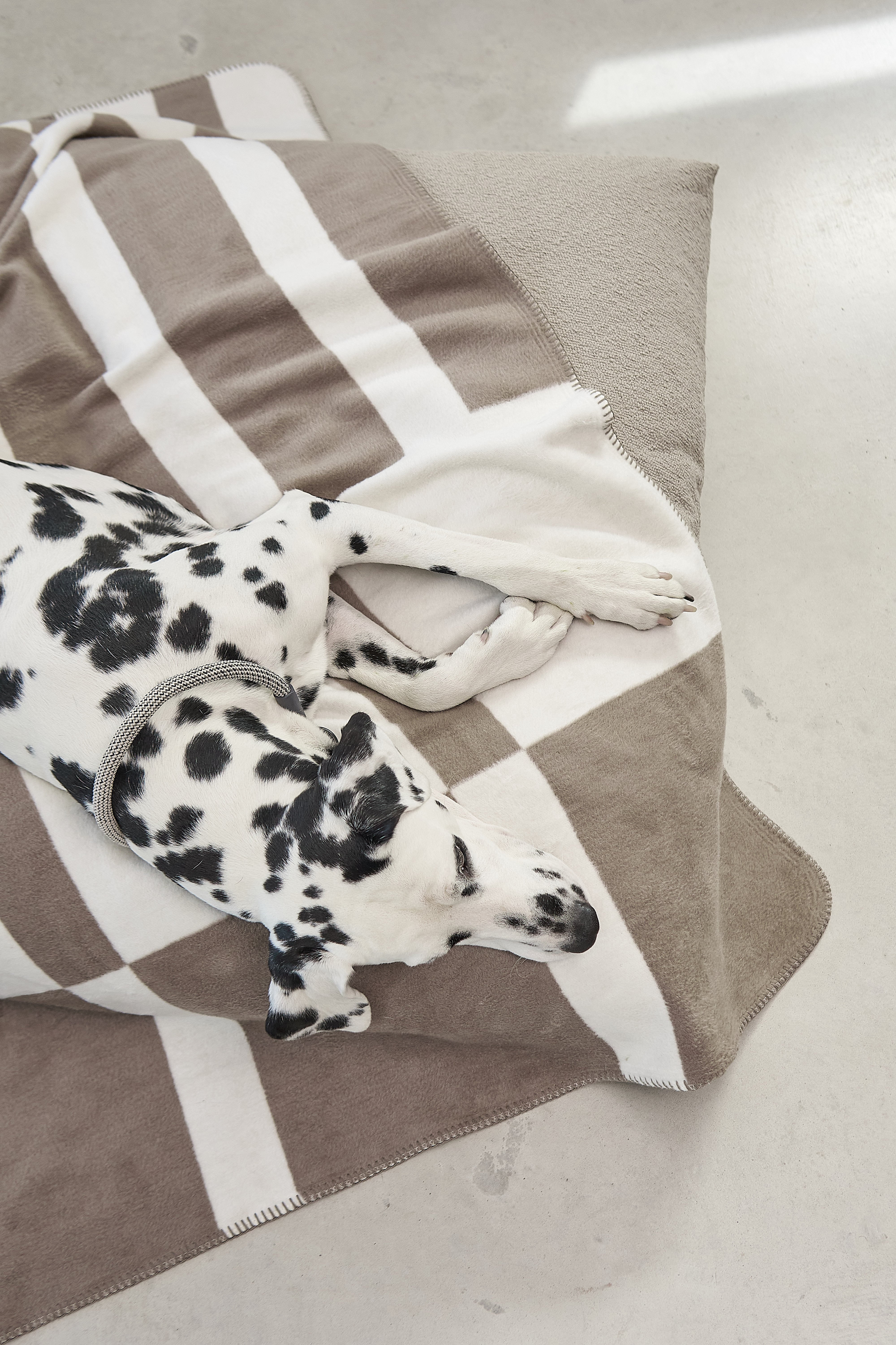 MiaCara Blocco Hundedecke Taupe Hundedecke Baumwolle waschbar weich 