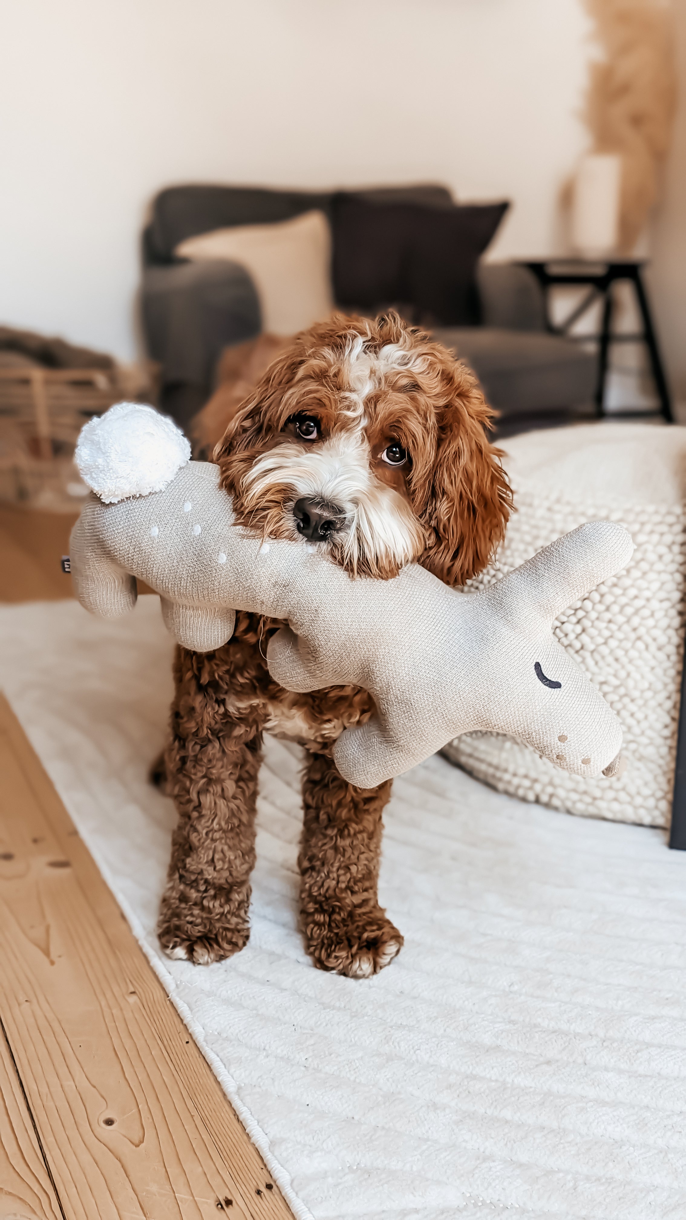 MiaCara Bosco Stofftier Hase Grau Hundespielzeug Welpen unkaputtbar