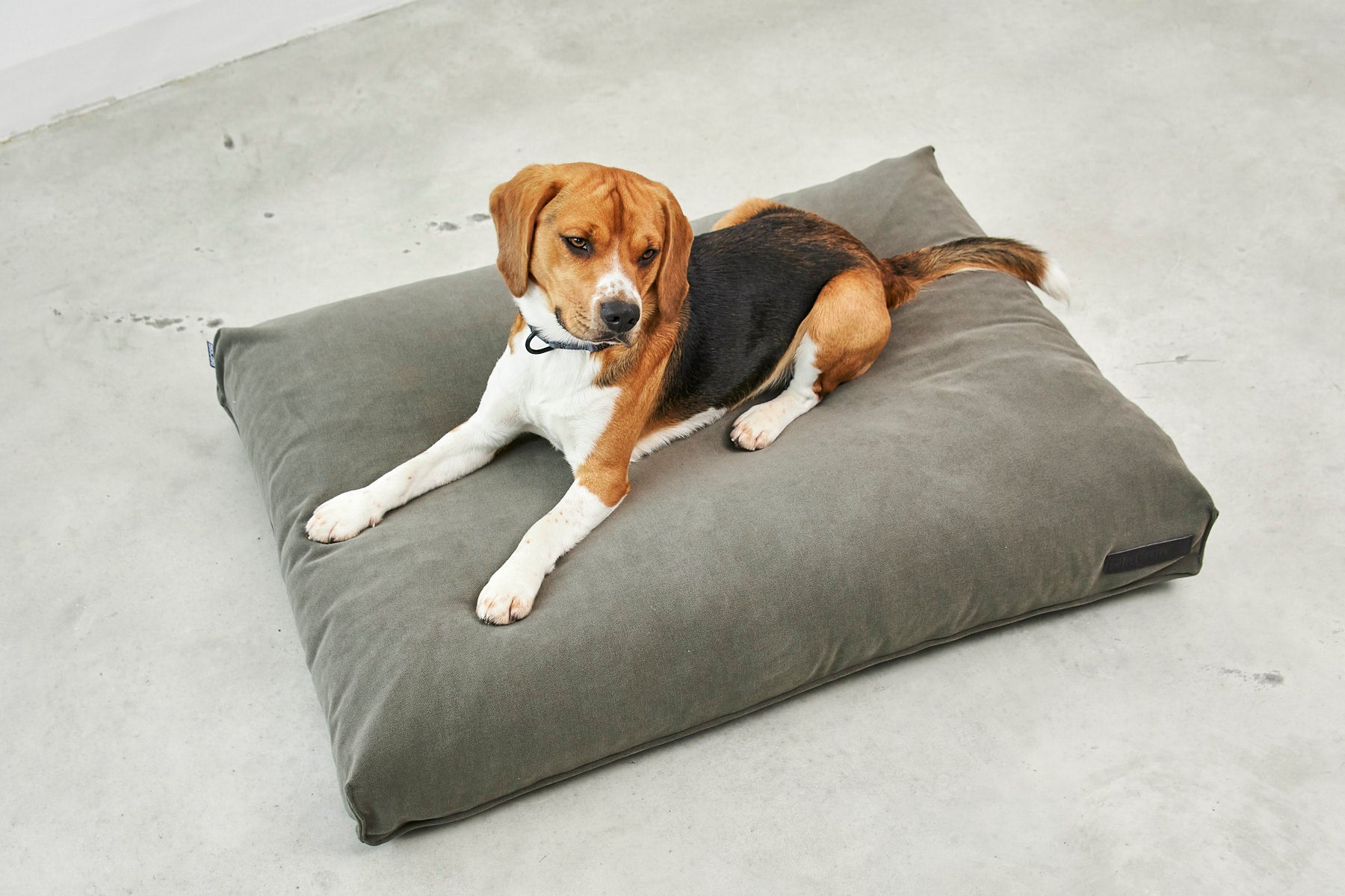 MiaCara Comodo Hundekissen Salbei Hundekissen Design