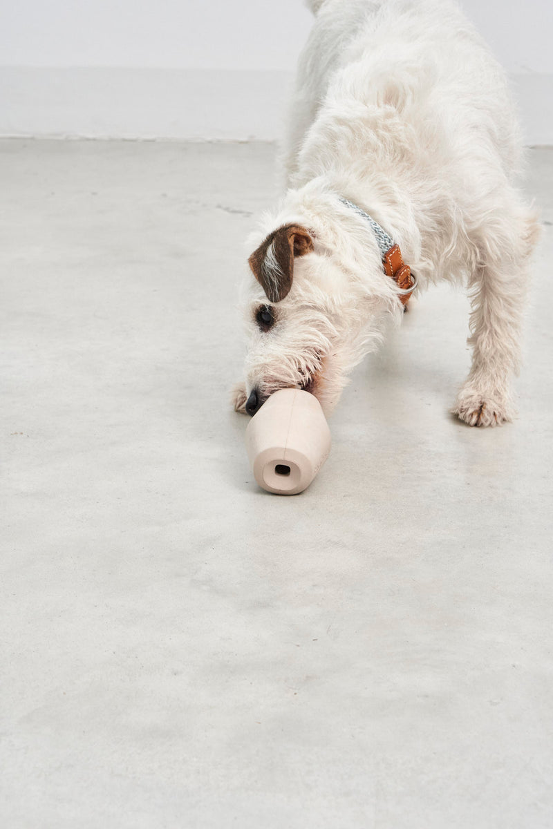 MiaCara Cono Beschäftigungsspielzeug Greige Hundespielzeug