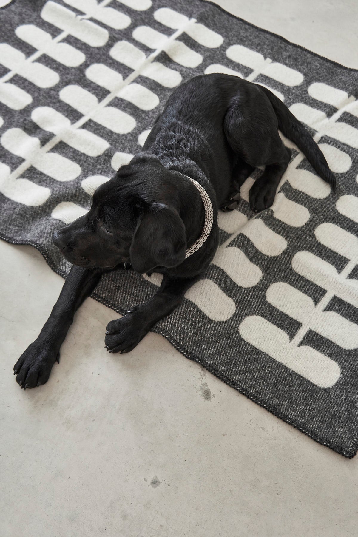 MiaCara Flora Hundedecke Anthrazit – Natur Hundedecke Wolle decke für Hunde aus Wolle 