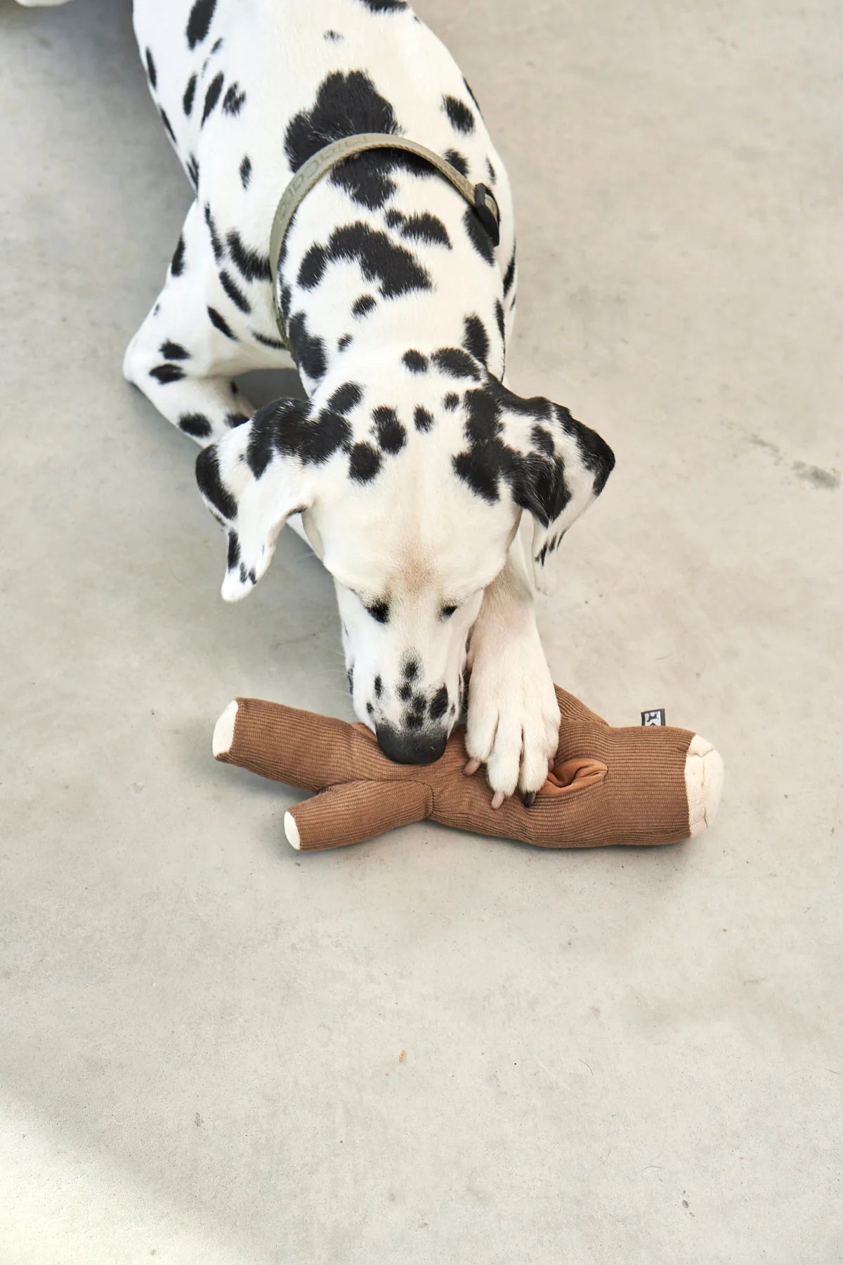 Foresta Schnüffelspielzeug für Hunde Ast Braun Hundespielzeug