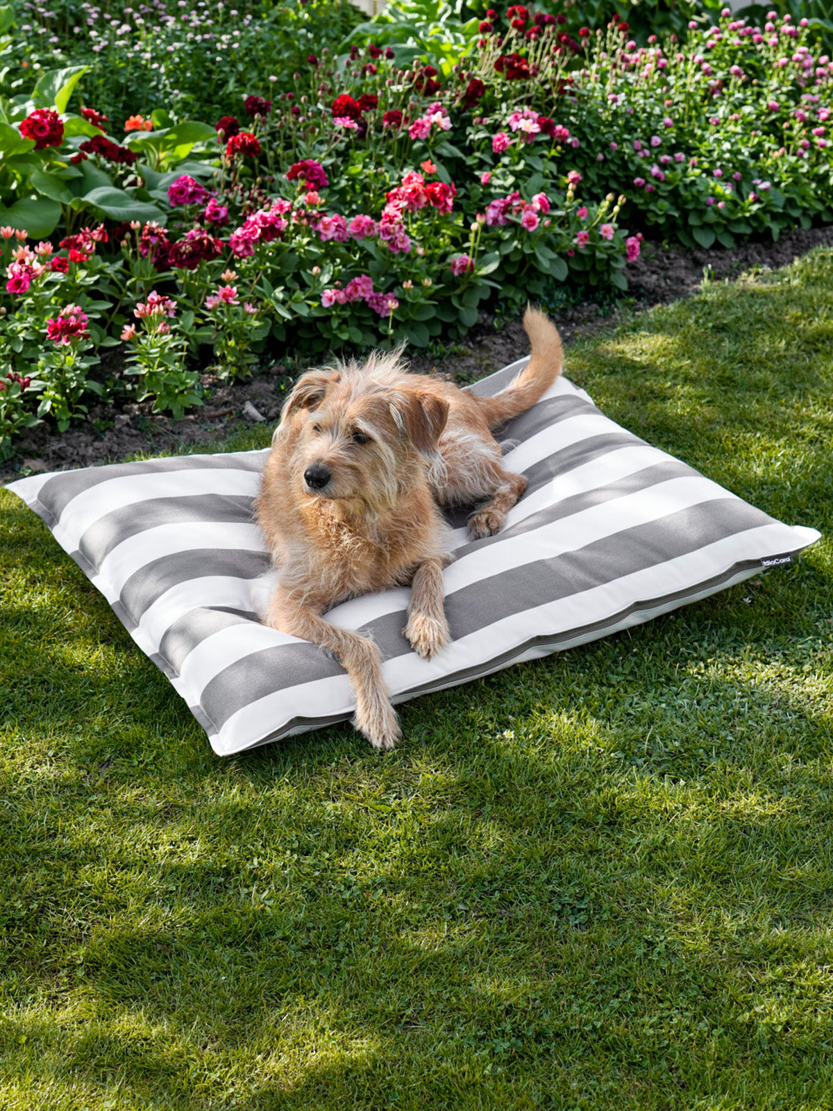 MiaCara Giardino Hundekissen Slim Outdoor Off-White/Taupe Hundebett Garten