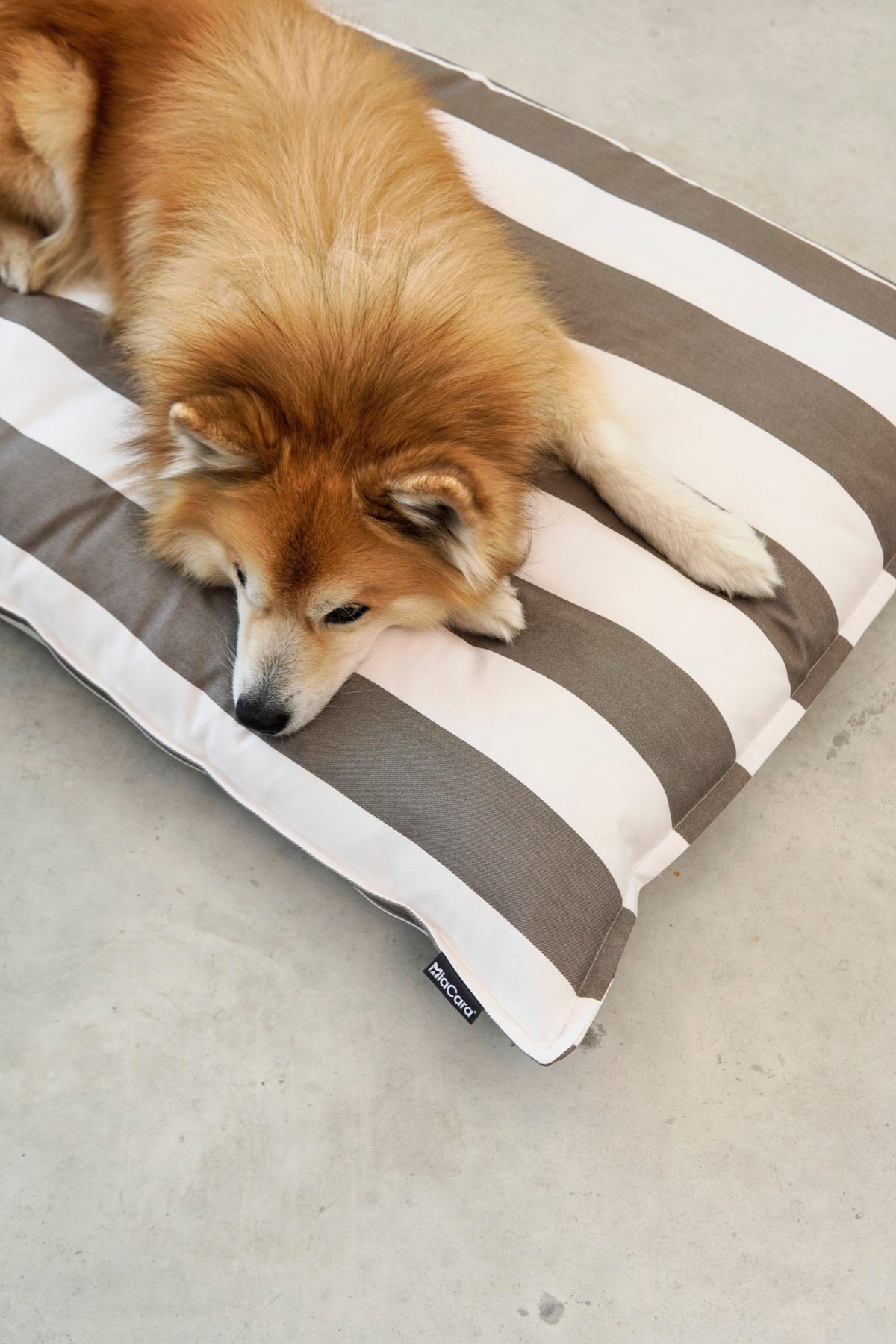 MiaCara Giardino Hundekissen Slim Outdoor Off-White/Taupe Outdoor Hundebett