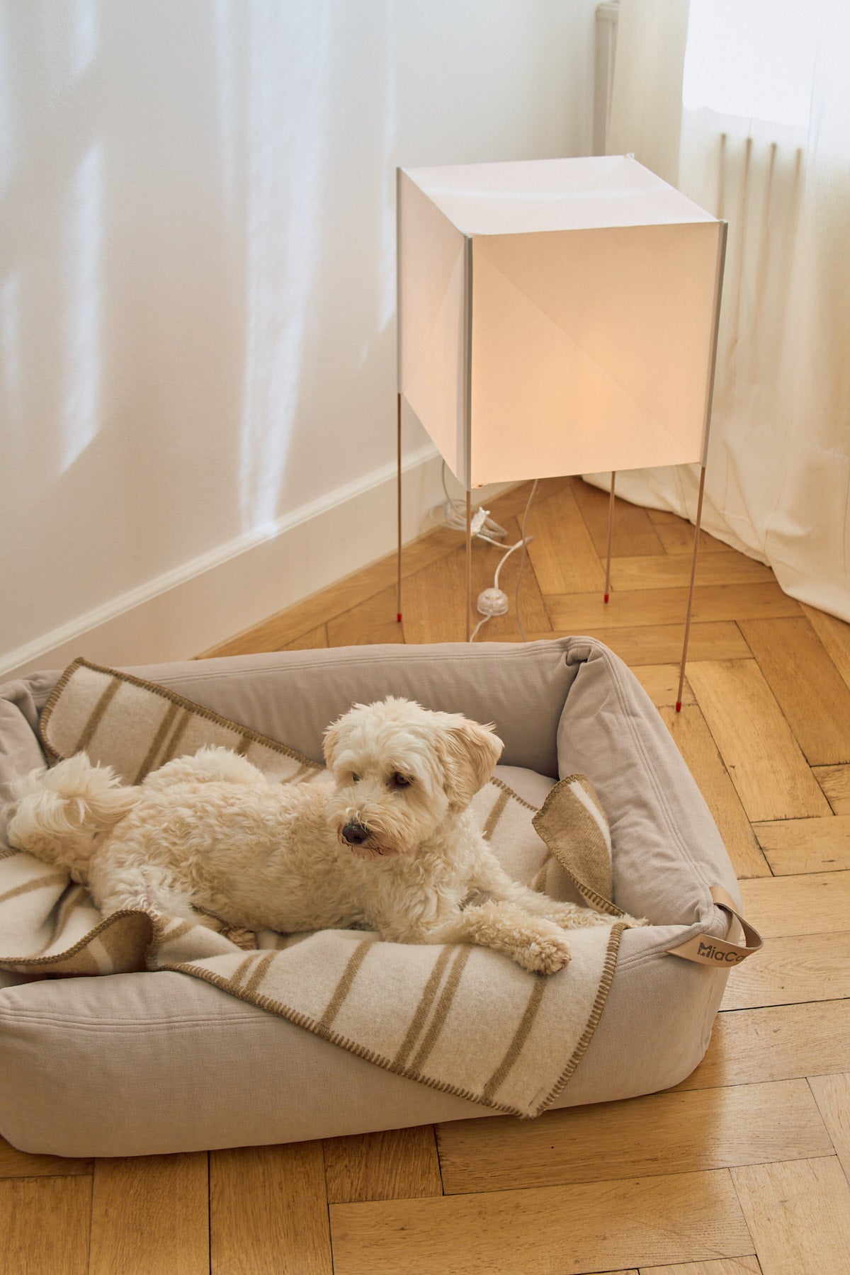 MiaCara Hundedecke Rigato Wolle Chai Creme Hundedecke aus Naturmaterialien