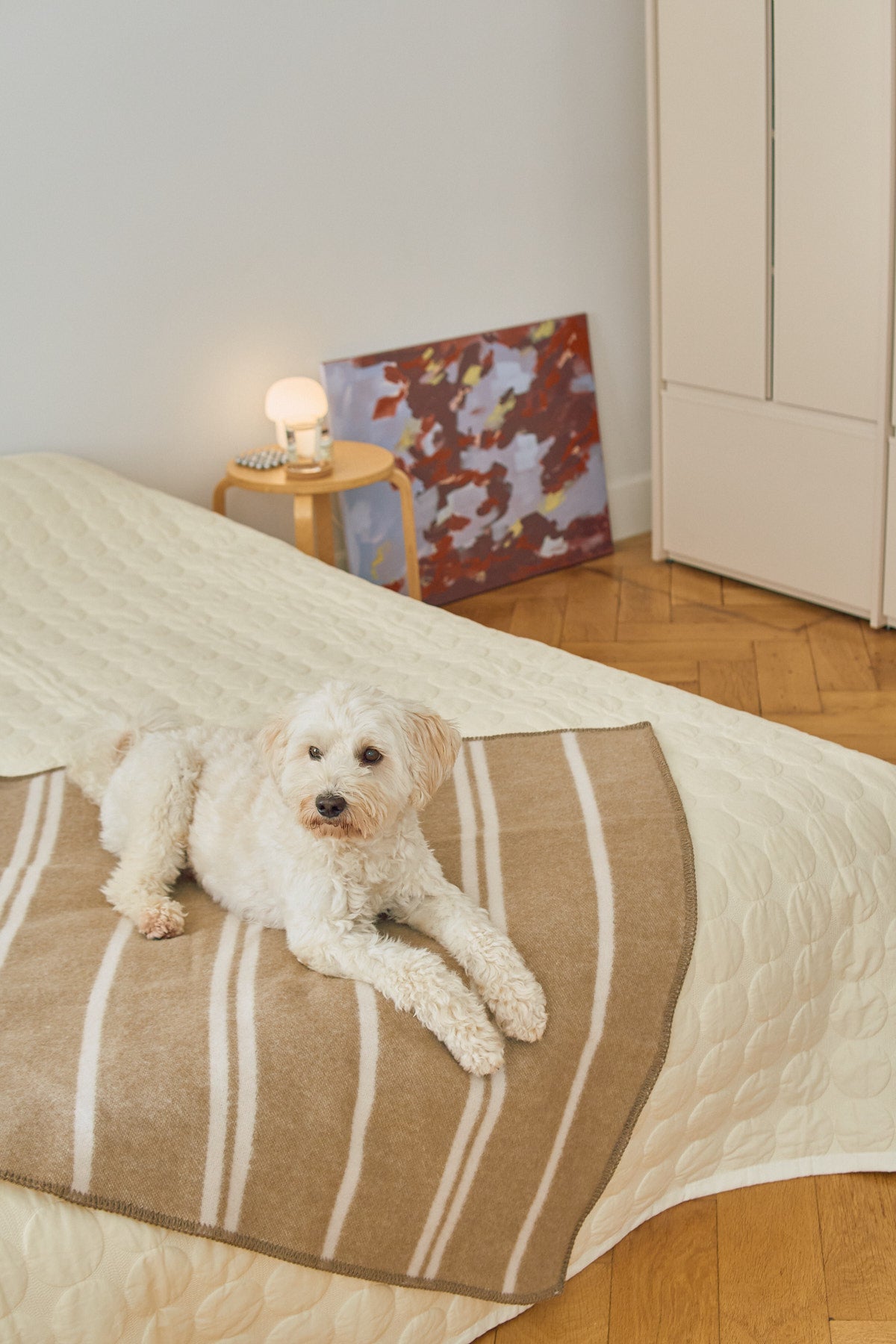 MiaCara Hundedecke Rigato Wolle Chai Creme Hundedecke aus Wolle