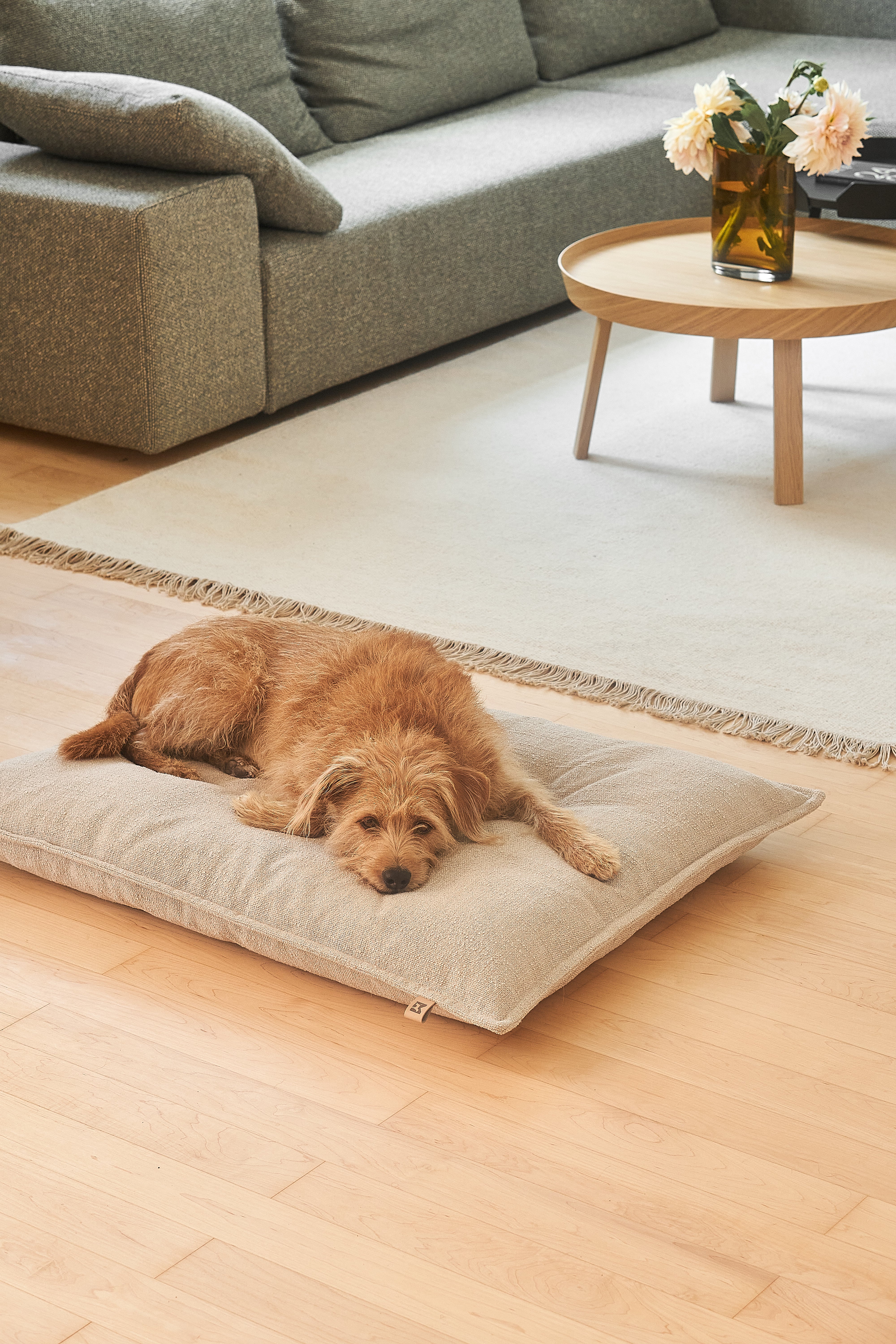 MiaCara Hundekissen Campo Greige Hundekissen waschbar