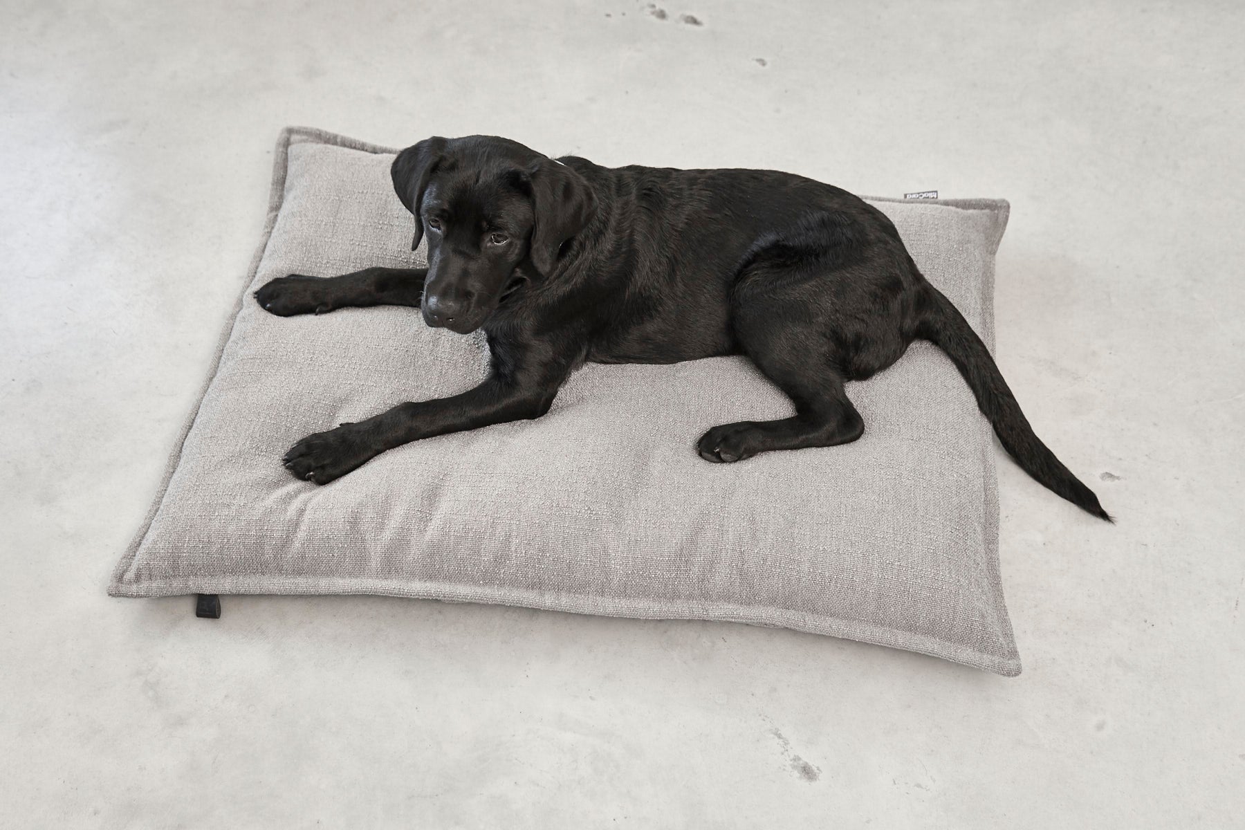 MiaCara Hundekissen Campo Kiesel Hundebett abnehmbarer Bezug