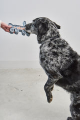 MiaCara Lepre Hundespielzeug Himmel Designer Schleckspielzeug fuer Hunde