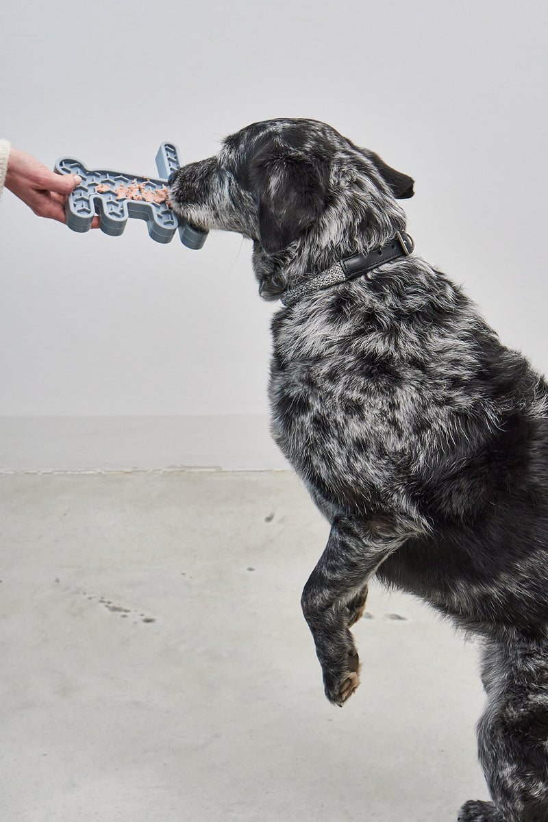 MiaCara Lepre Hundespielzeug Himmel Designer Schleckspielzeug fuer Hunde