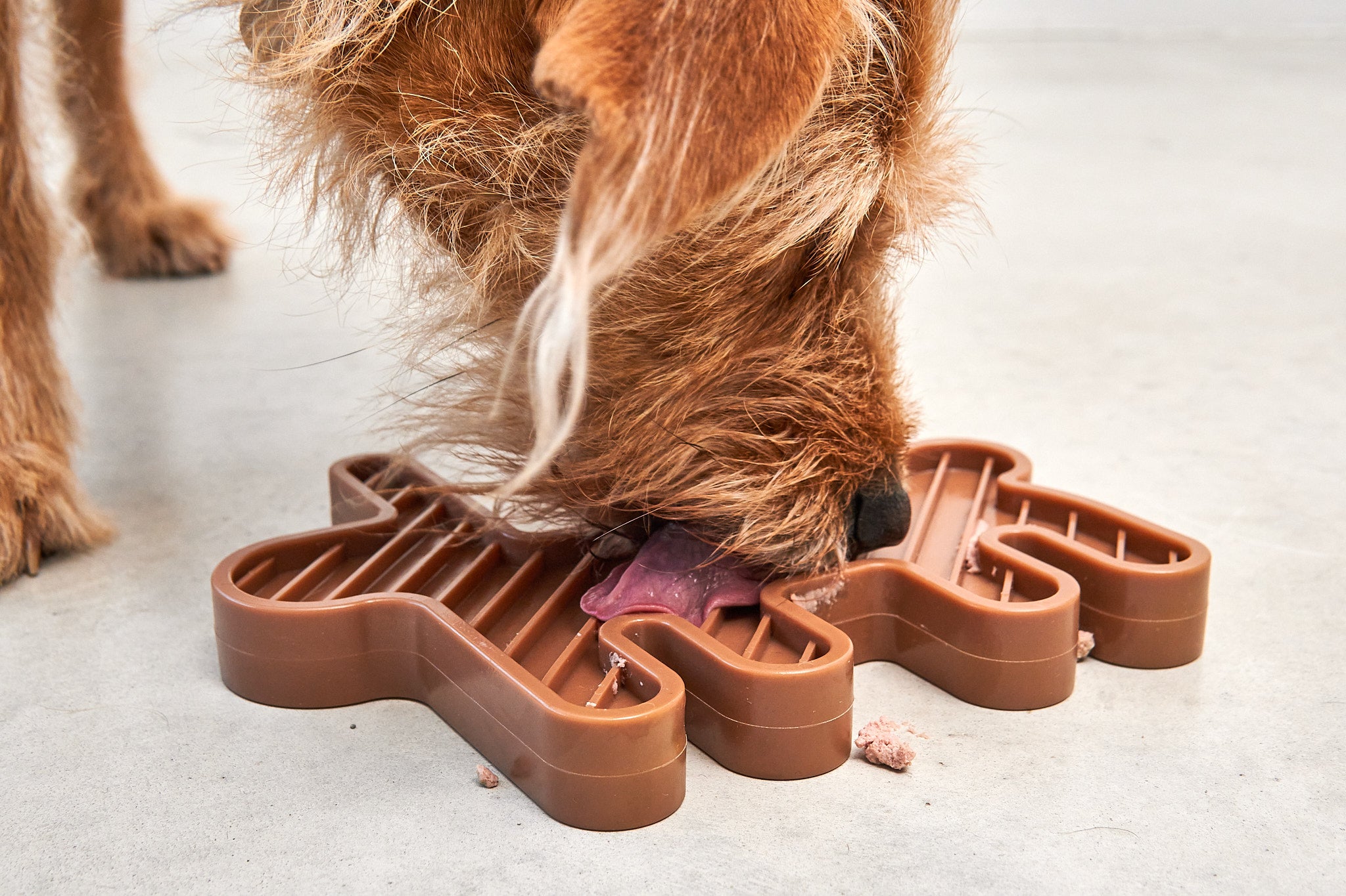 MiaCara Lepre Hundespielzeug Sandelholz modernes Schleckspielzeug fuer Hunde