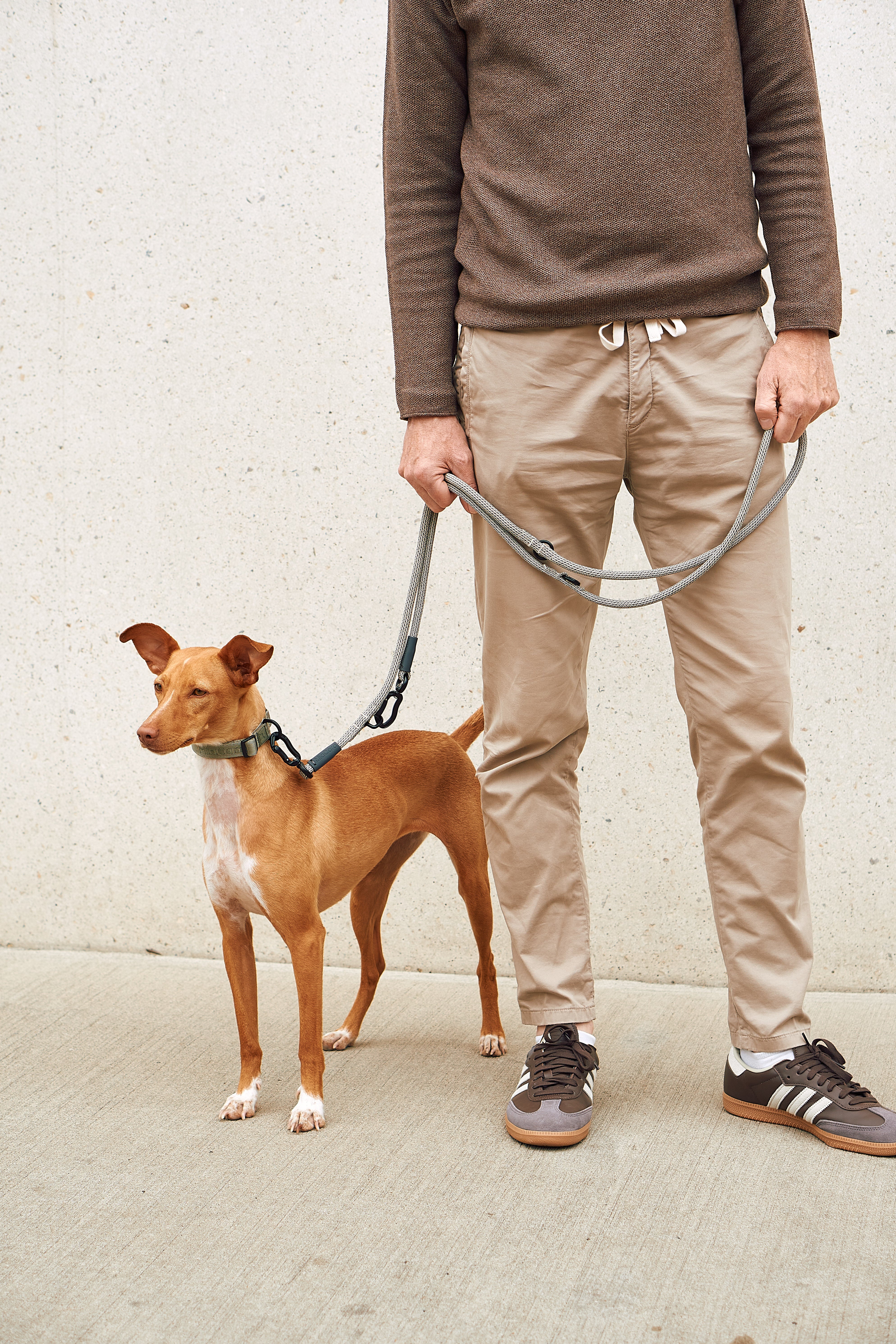 MiaCara Monza Designer Hundehalsband Asphalt Greige Grolive Zugstopp Halsband edel Hund Gassihalsband