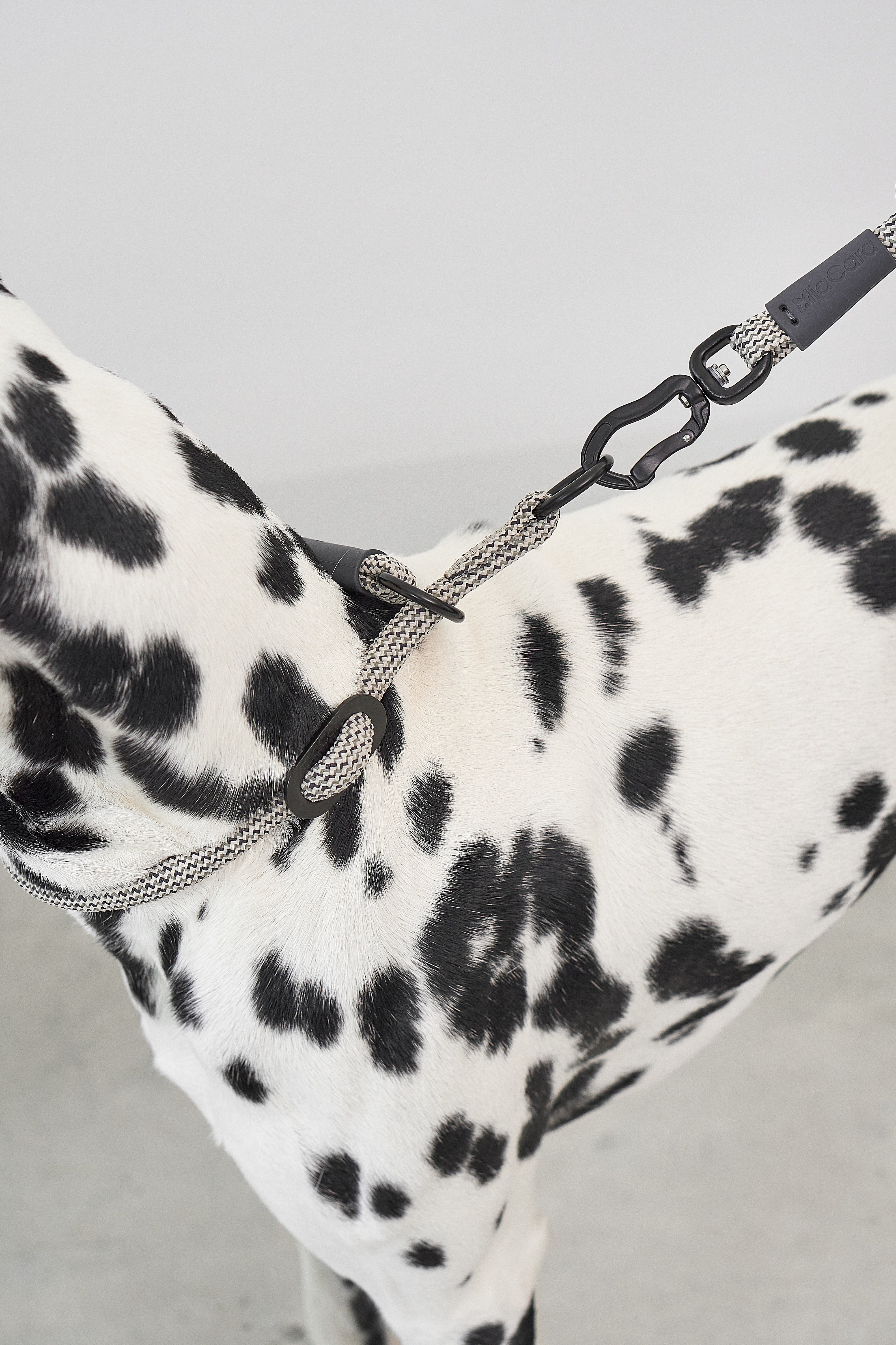 MiaCara Monza Hundeleine verstellbar Führleine Asphalt Greige Grolive Hund Gassileine