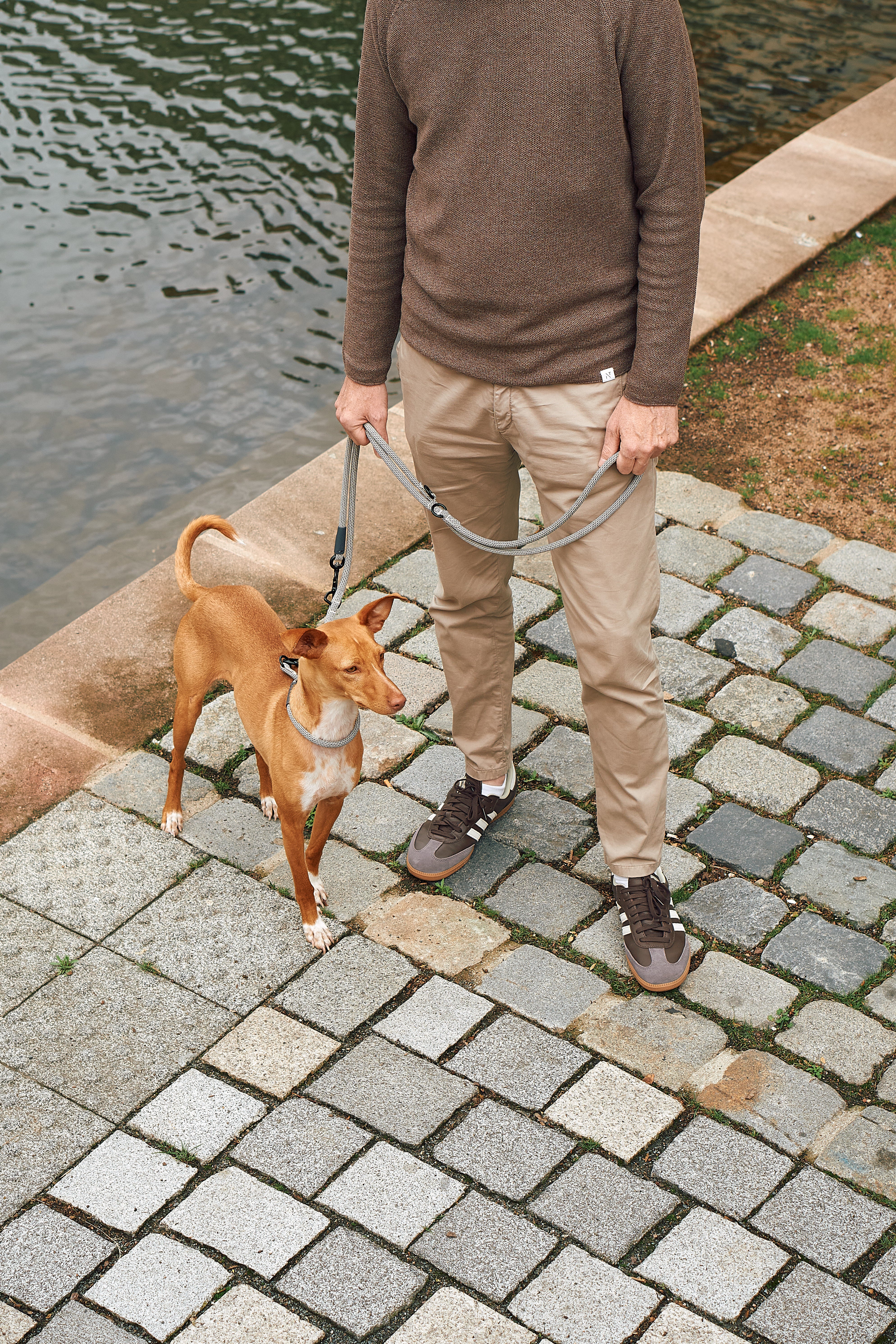 MiaCara Monza Zugstopp Hundehalsband Asphalt Greige Grolive Hundehalsband klassisch robust gassigehen
