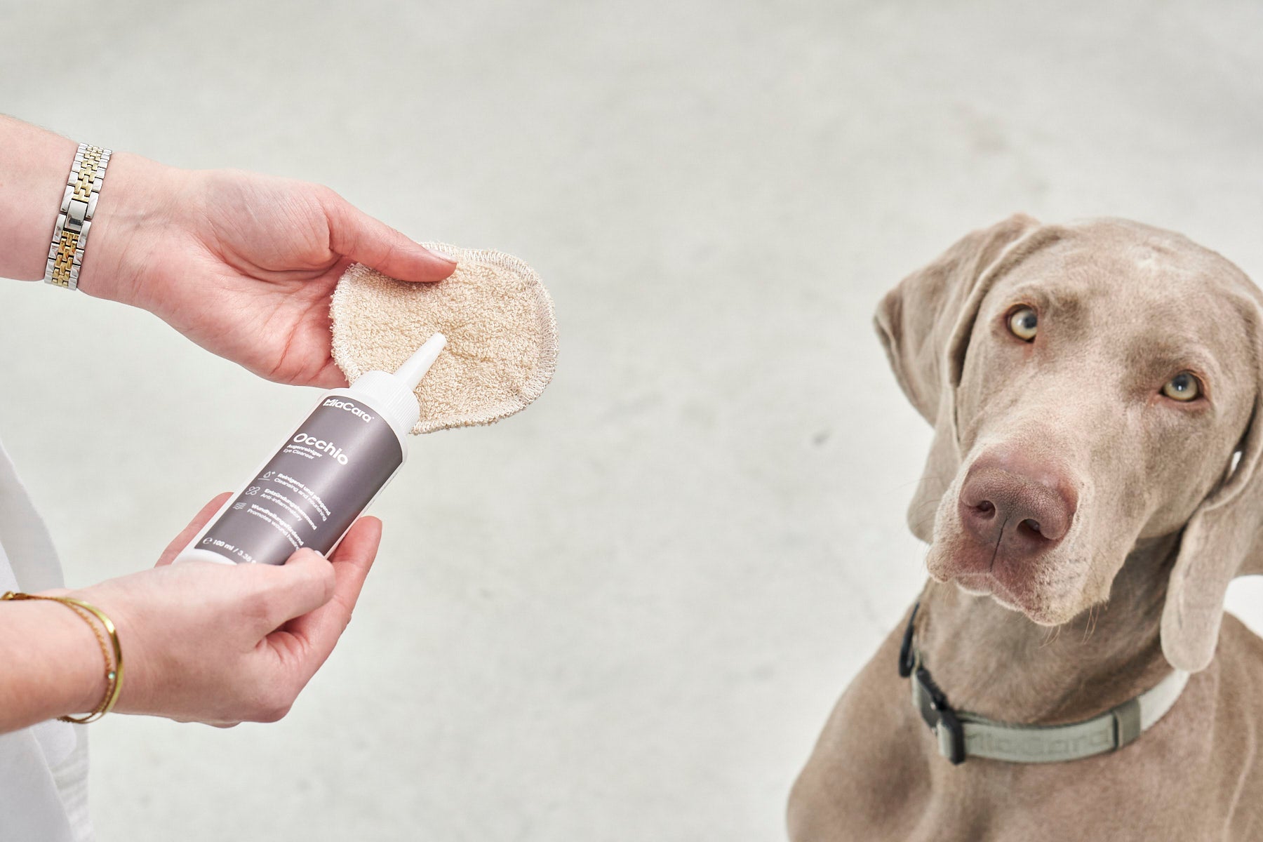 MiaCara Occhio Augenreiniger Pflegeprodukte für Hunde Augenpflege