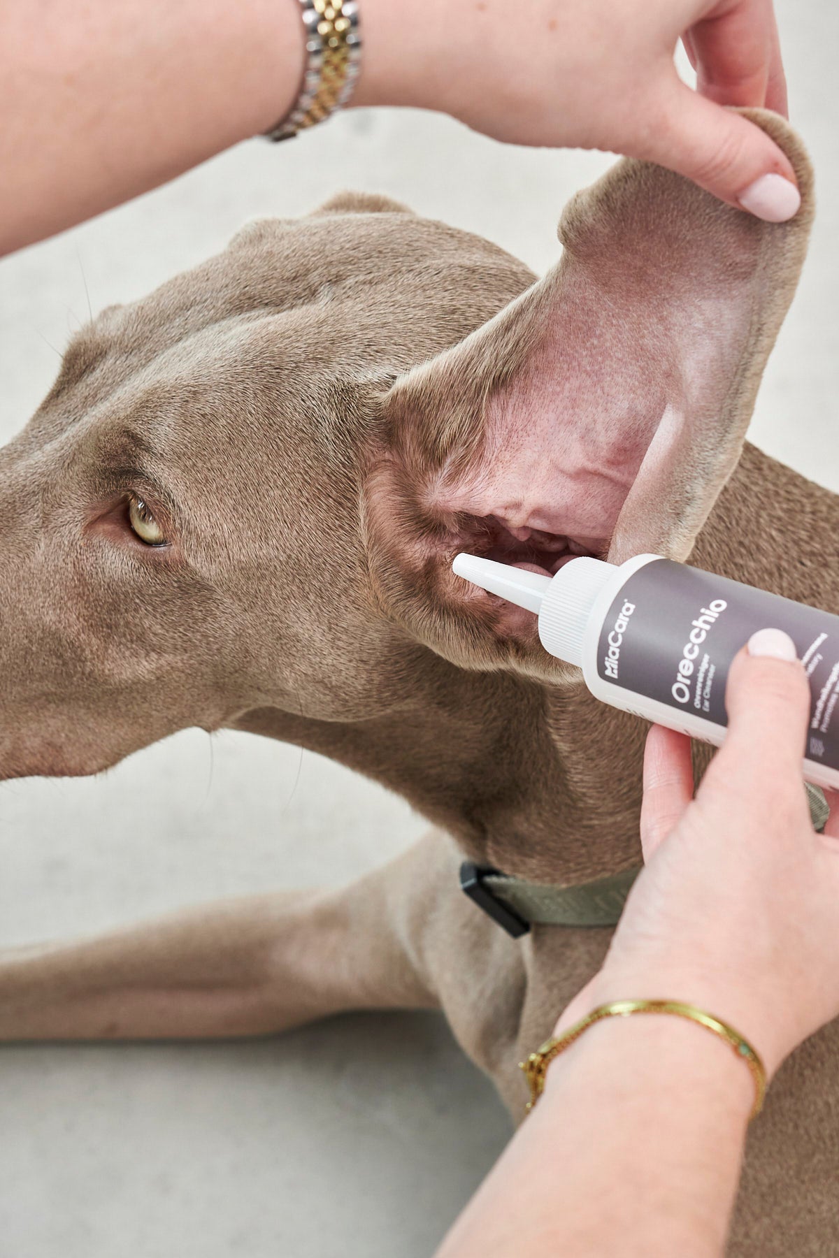 MiaCara Orecchio Ohrenreiniger Pflegeprodukte für Hunde natürliche Inhaltsstoffe