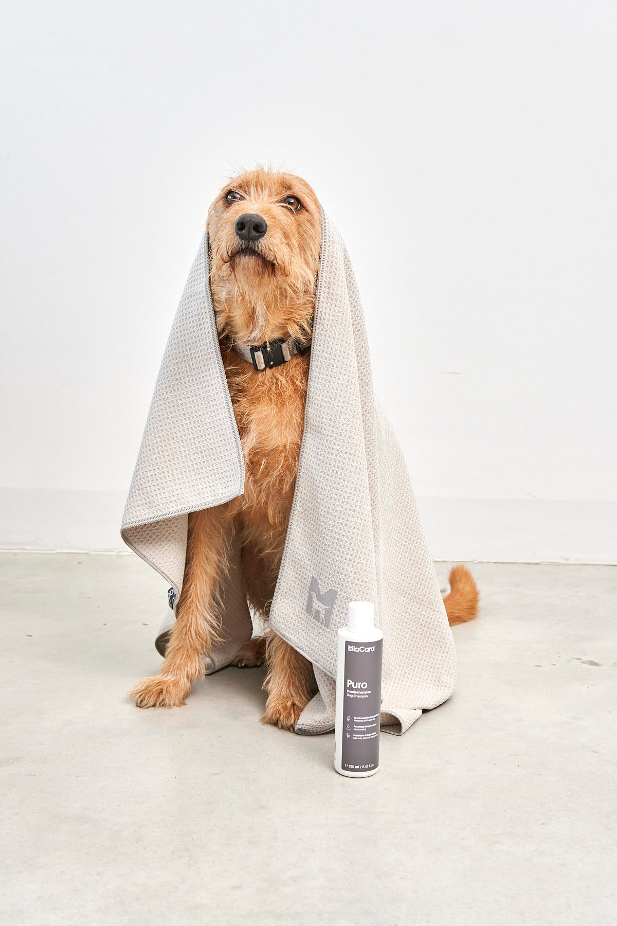 MiaCara Panno Hundetrockentuch Greige Handtuch für Hunde