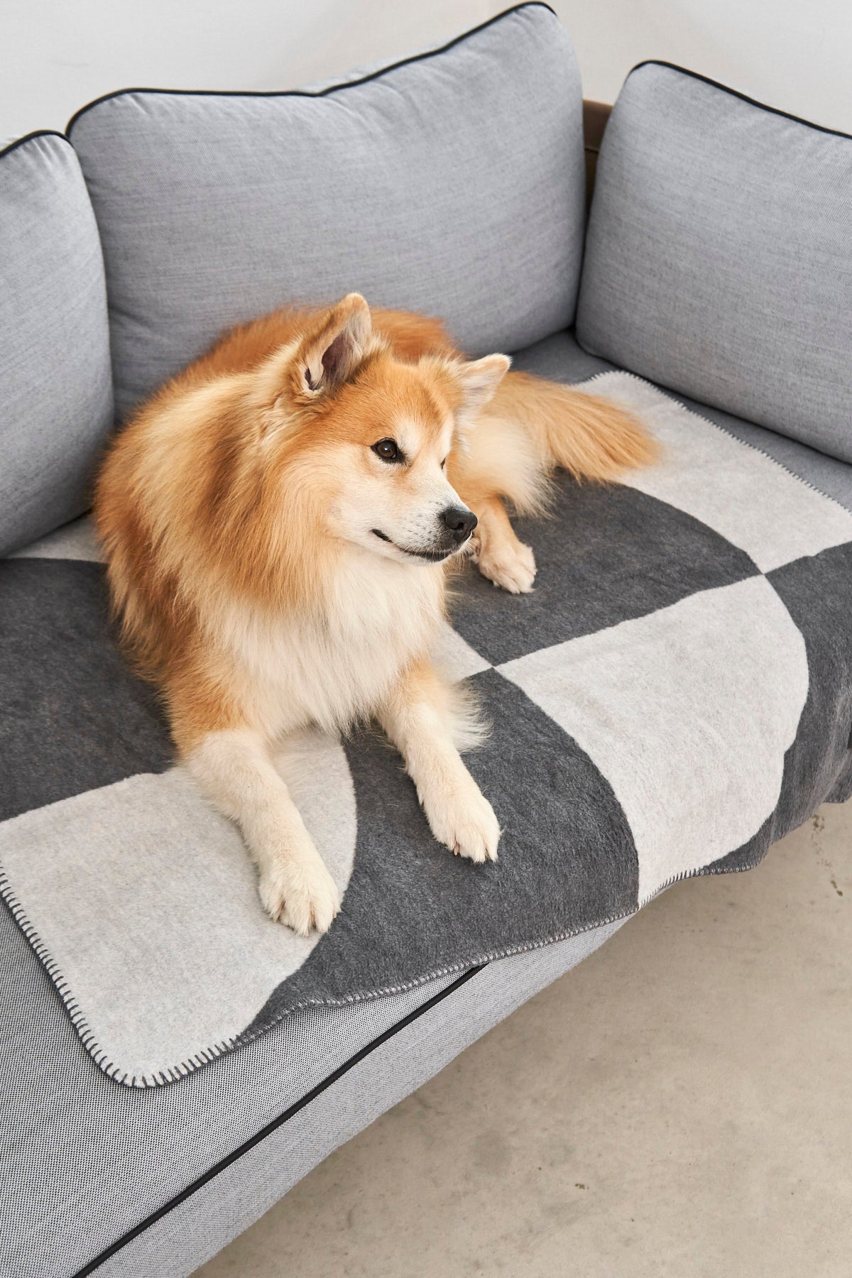 MiaCara Ponte Hundedecke Schiefer Hundedecke Auto