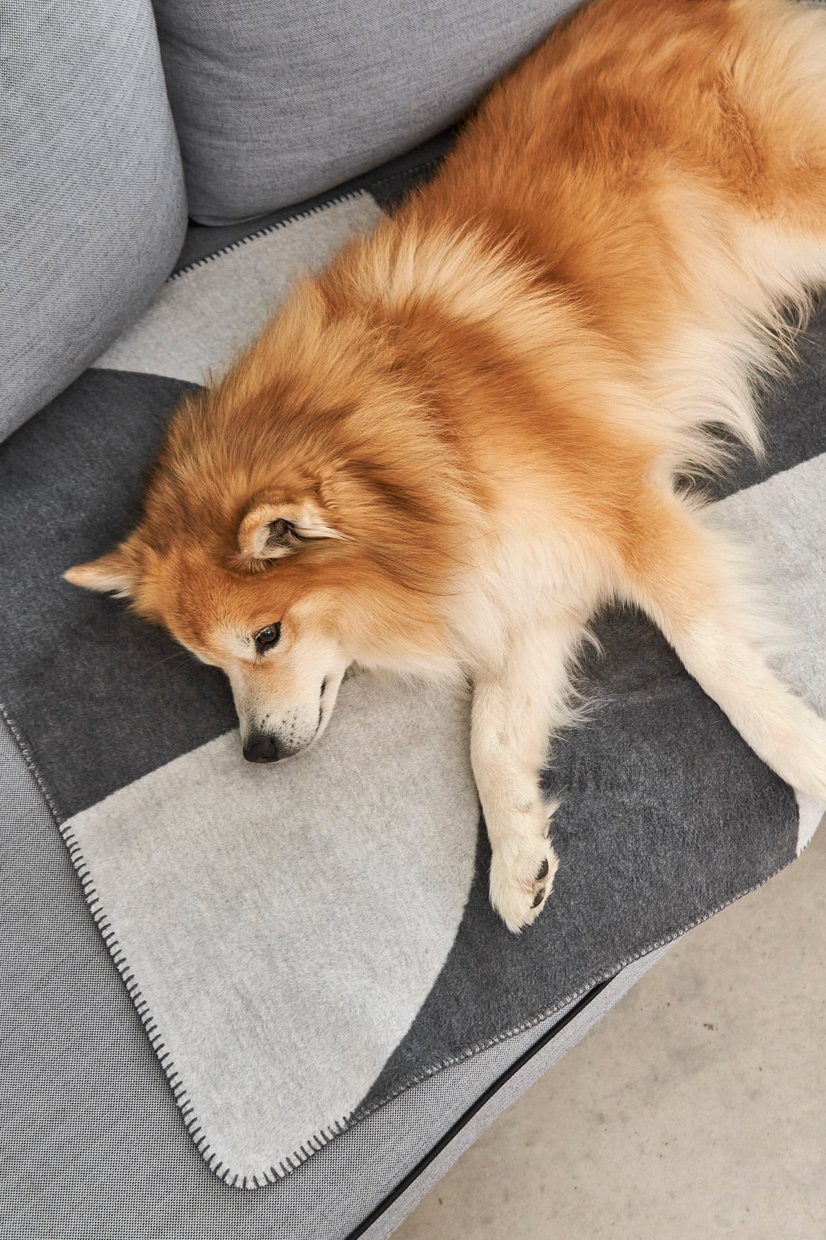 MiaCara Ponte Hundedecke Schiefer Hundedecke waschbar