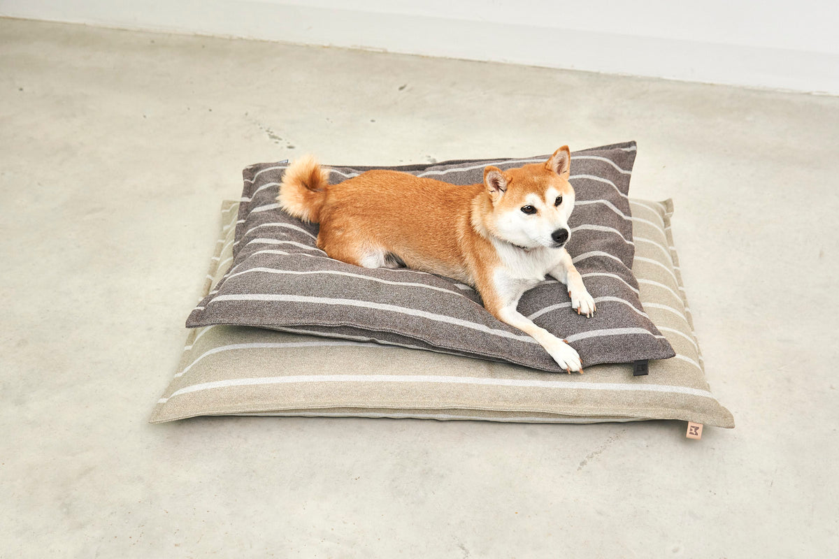 MiaCara Riga Hundekissen Slim Schokolade/Greige Hundebett