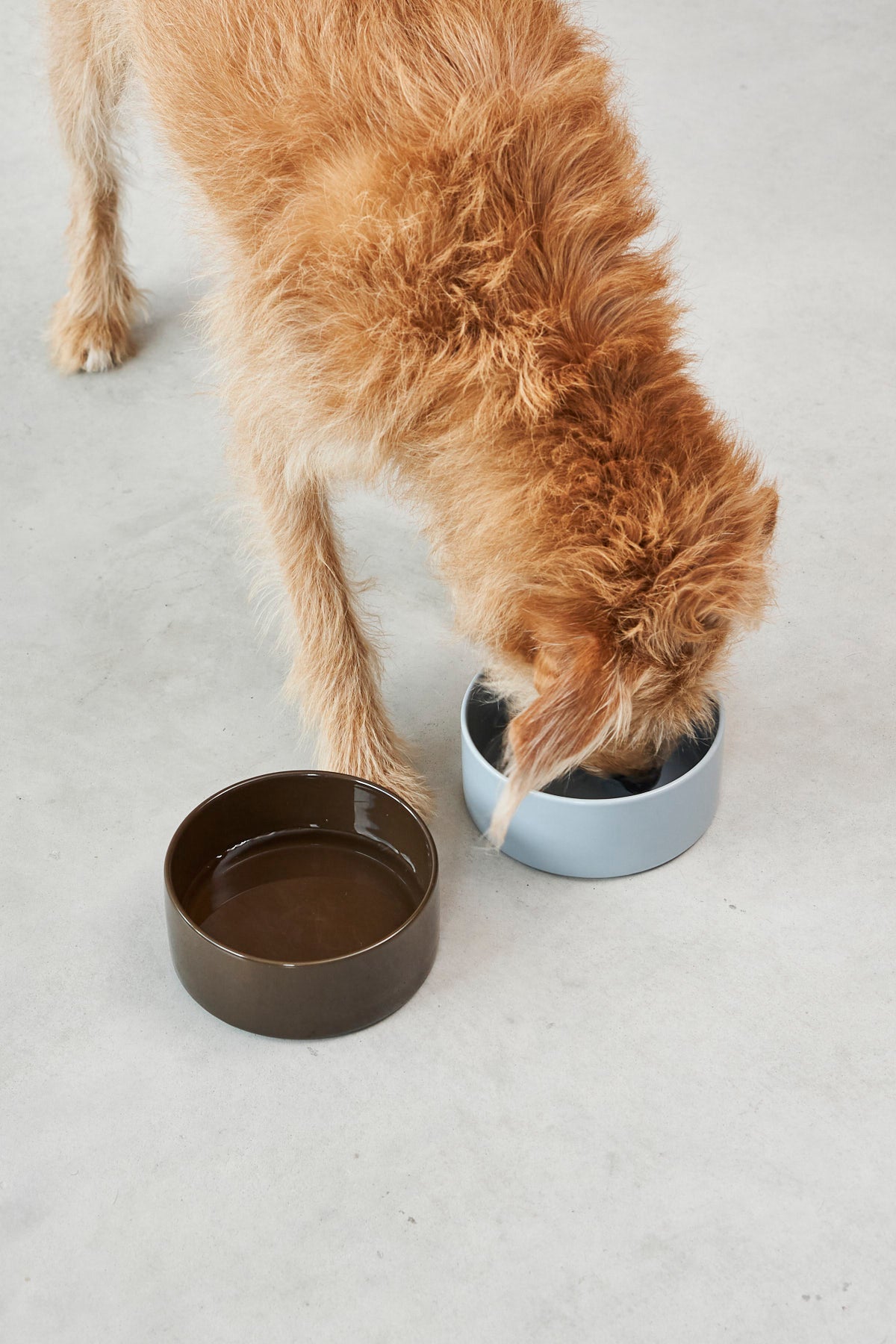 MiaCara Scodella Hundenapf Light Sky Hundenapf aus Porzellan