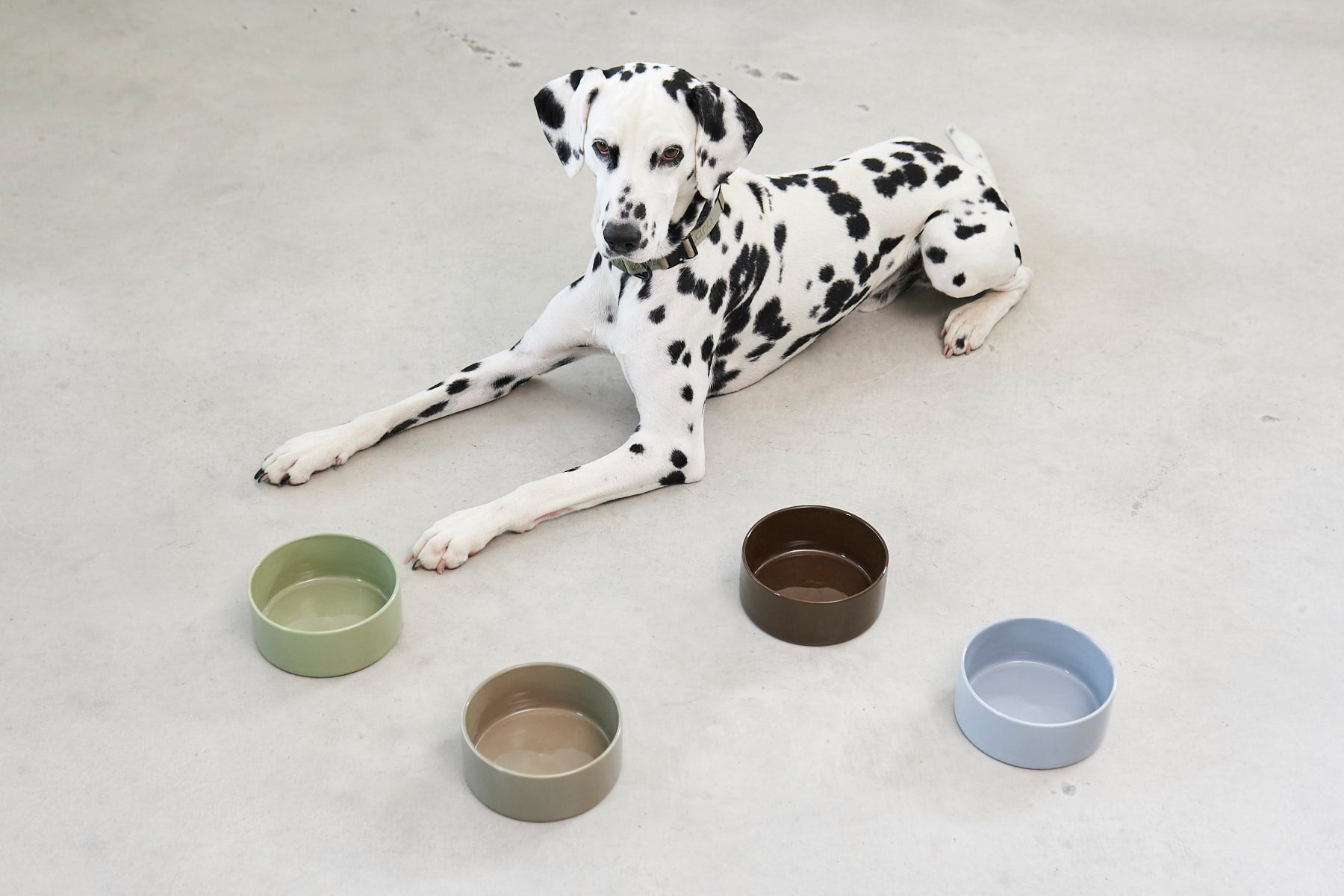 MiaCara Scodella Hundenapf Napf Hunde Porzellan