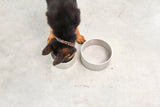 MiaCara Scodella Hundenapf Greige Napf aus Porzellan