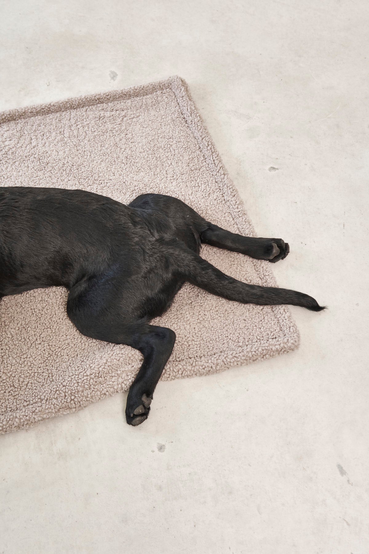 MiaCara Senso Hundedecke Greige Boucle Hundedecke