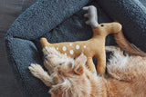 MiaCara Senso Box-Bett Graphit Hundebett mit Teddystoff