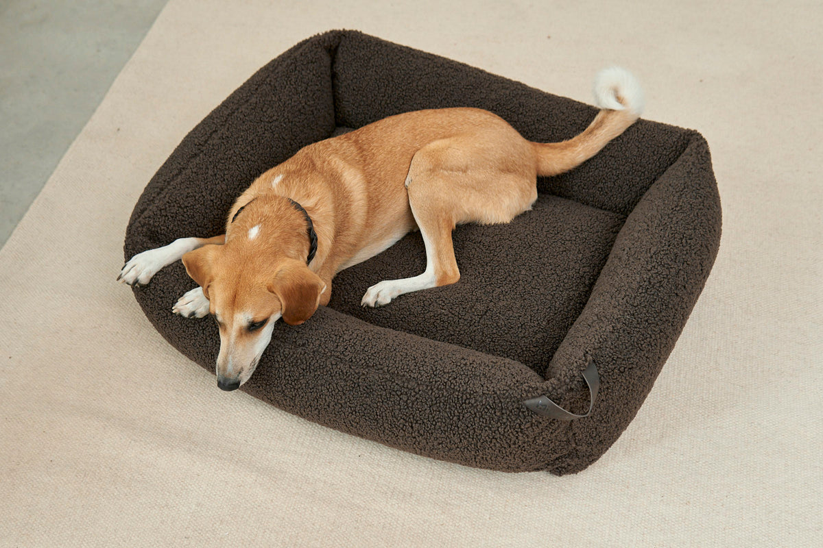 MiaCara Senso Box-Bett Schokolade Hundebett