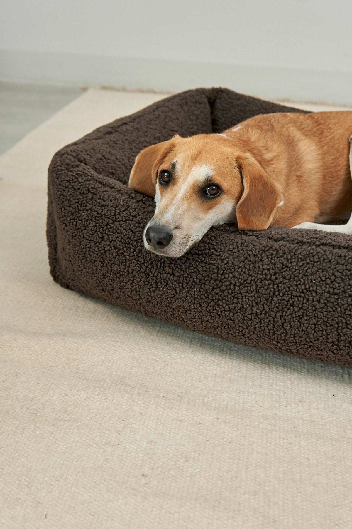 MiaCara Senso Box-Bett Schokolade Hundekissen