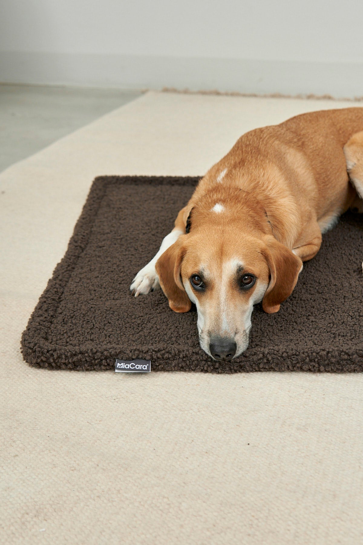 MiaCara Senso Hundedecke Schokolade Hundebett